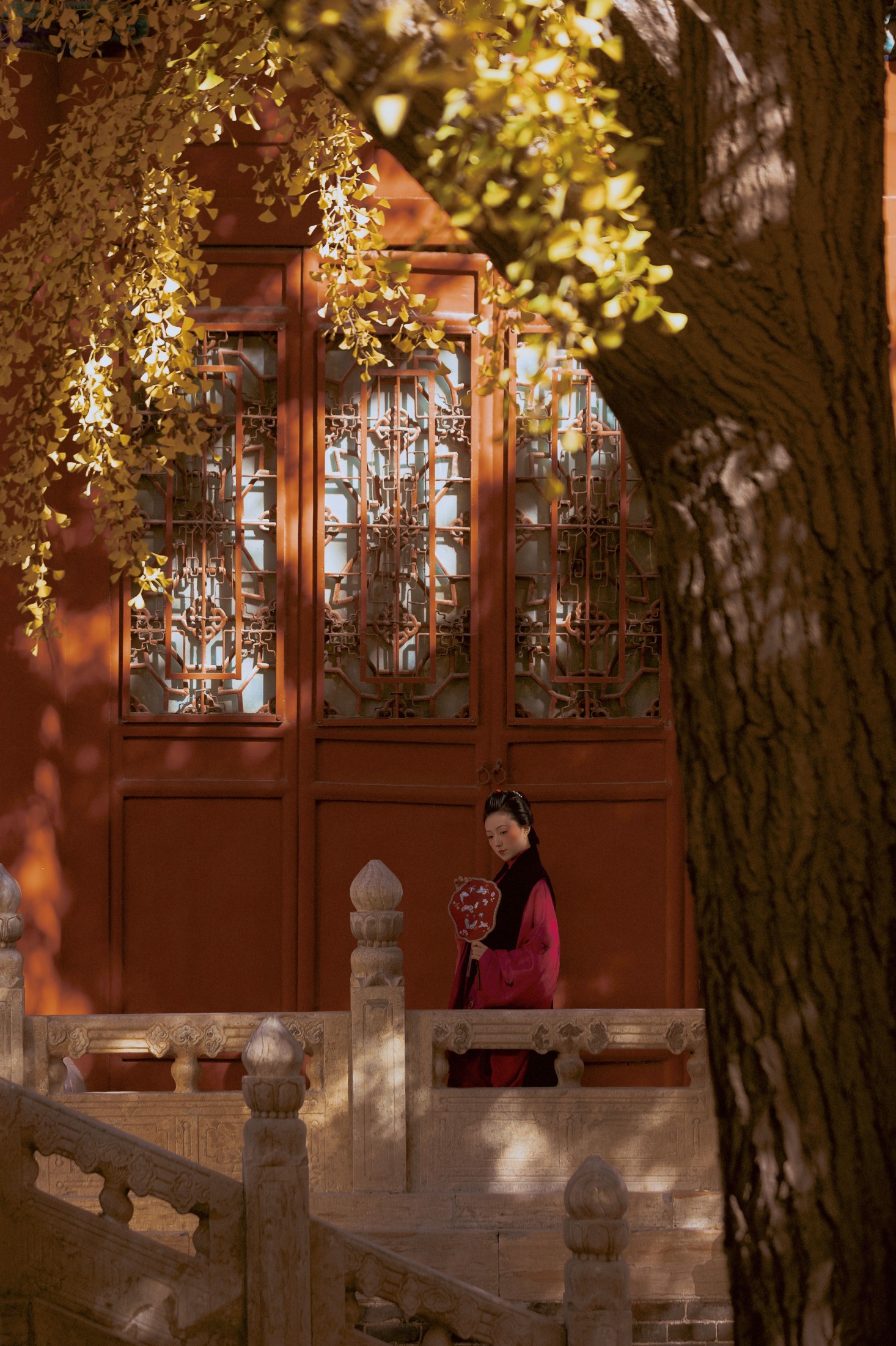 乐安 - 《盛秋银杏》[40P]