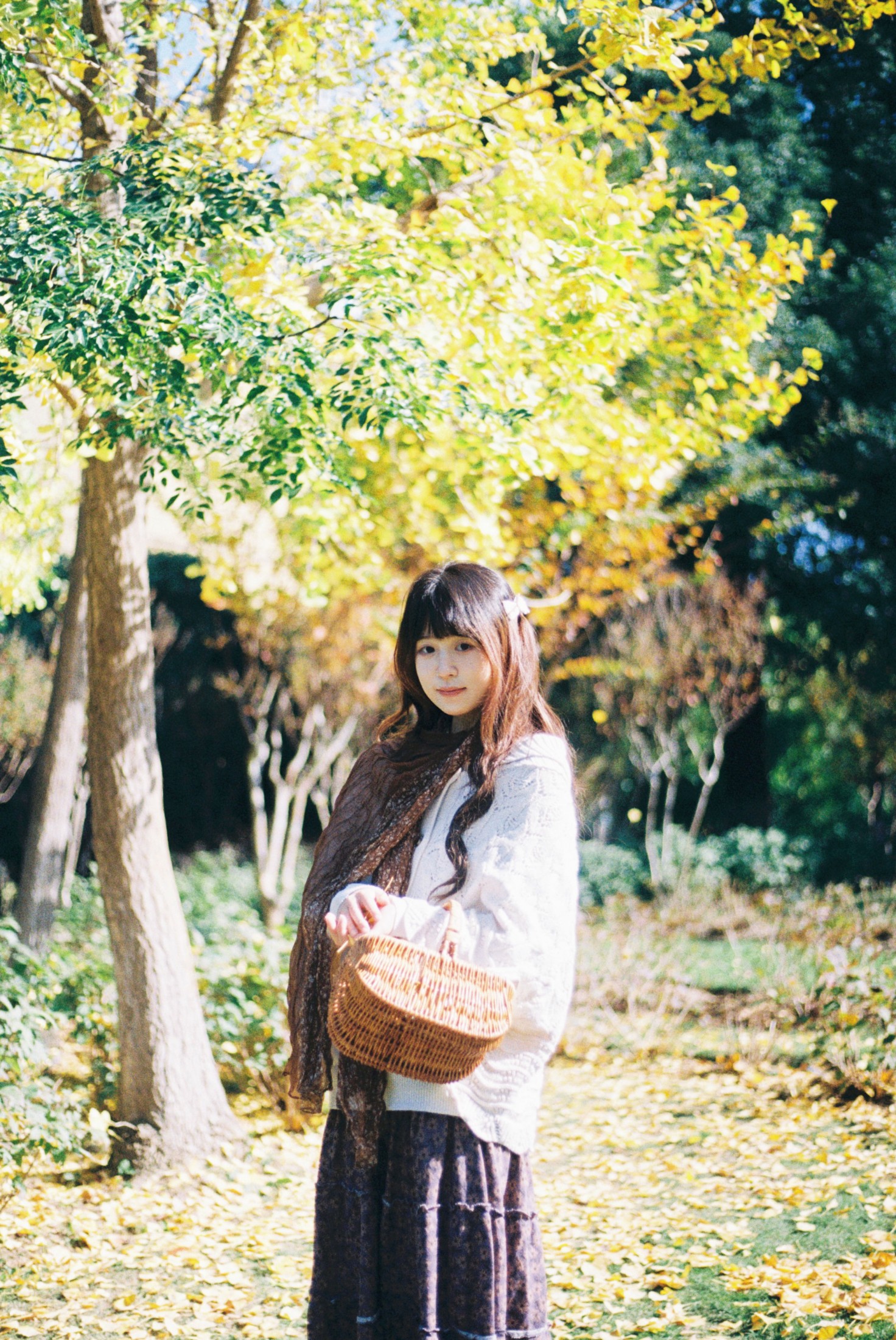 《一场盛大的秋天》[9P]