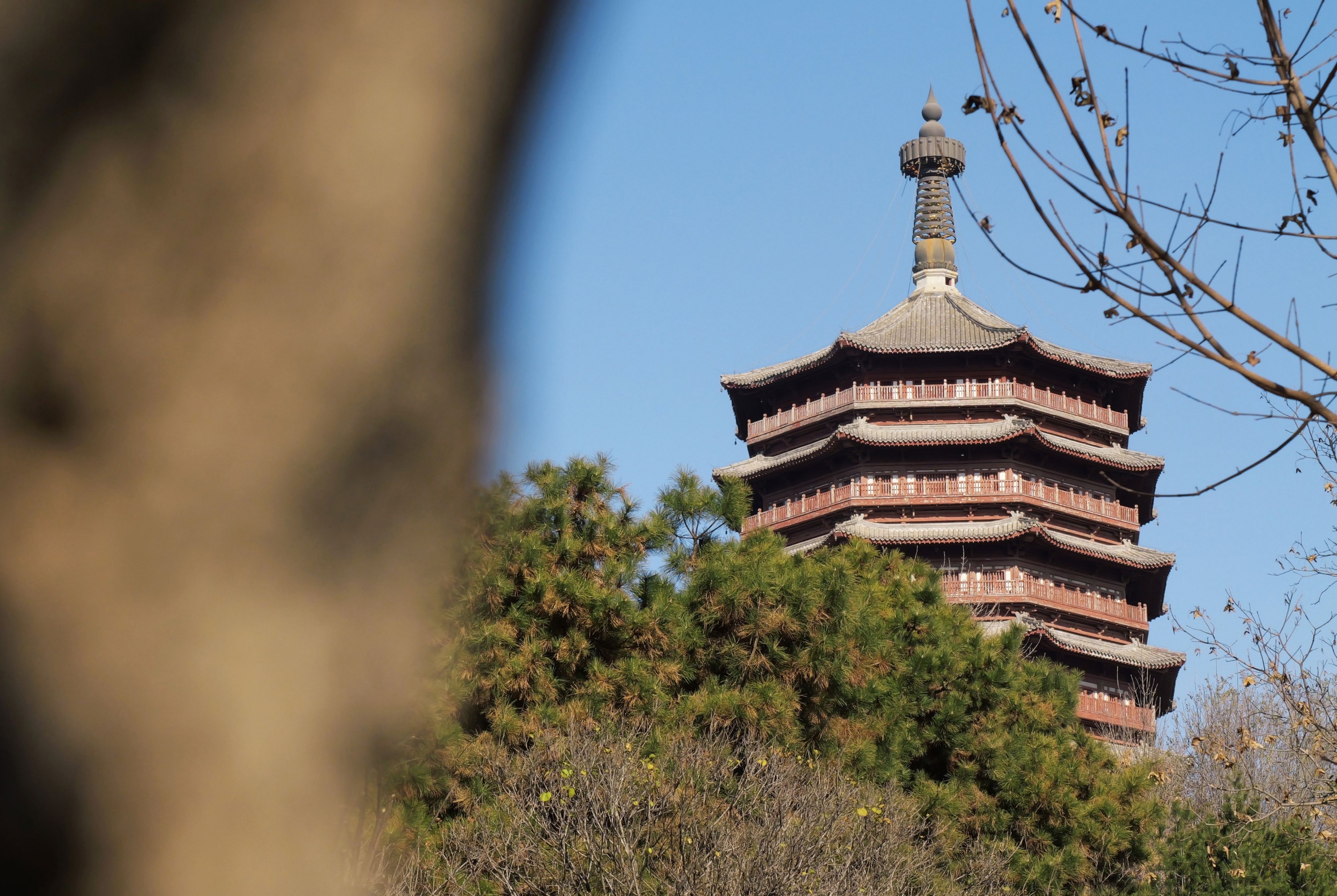 《北京园博园》[25P]