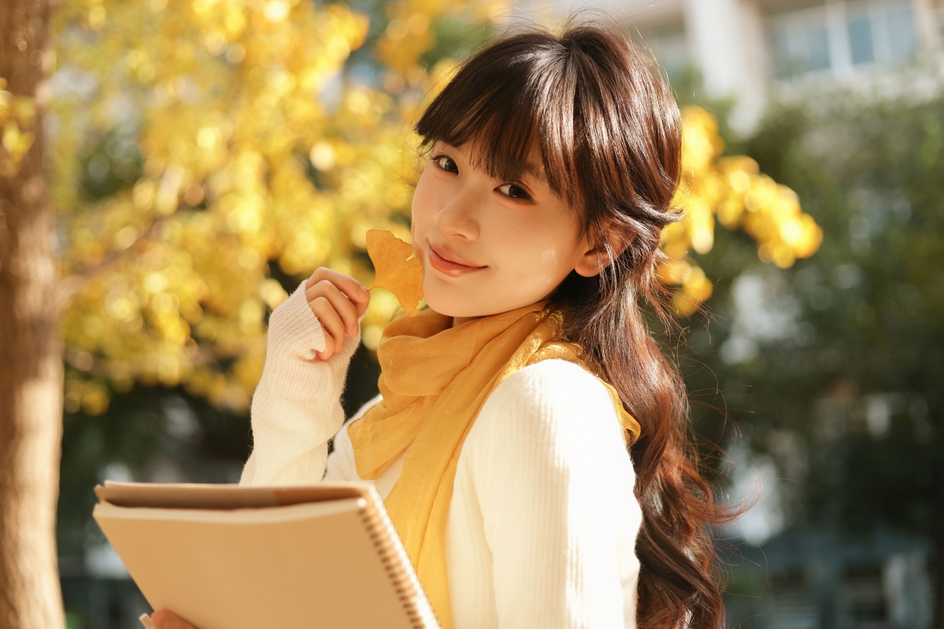 苗苗 - 《秋日银杏》[20P]