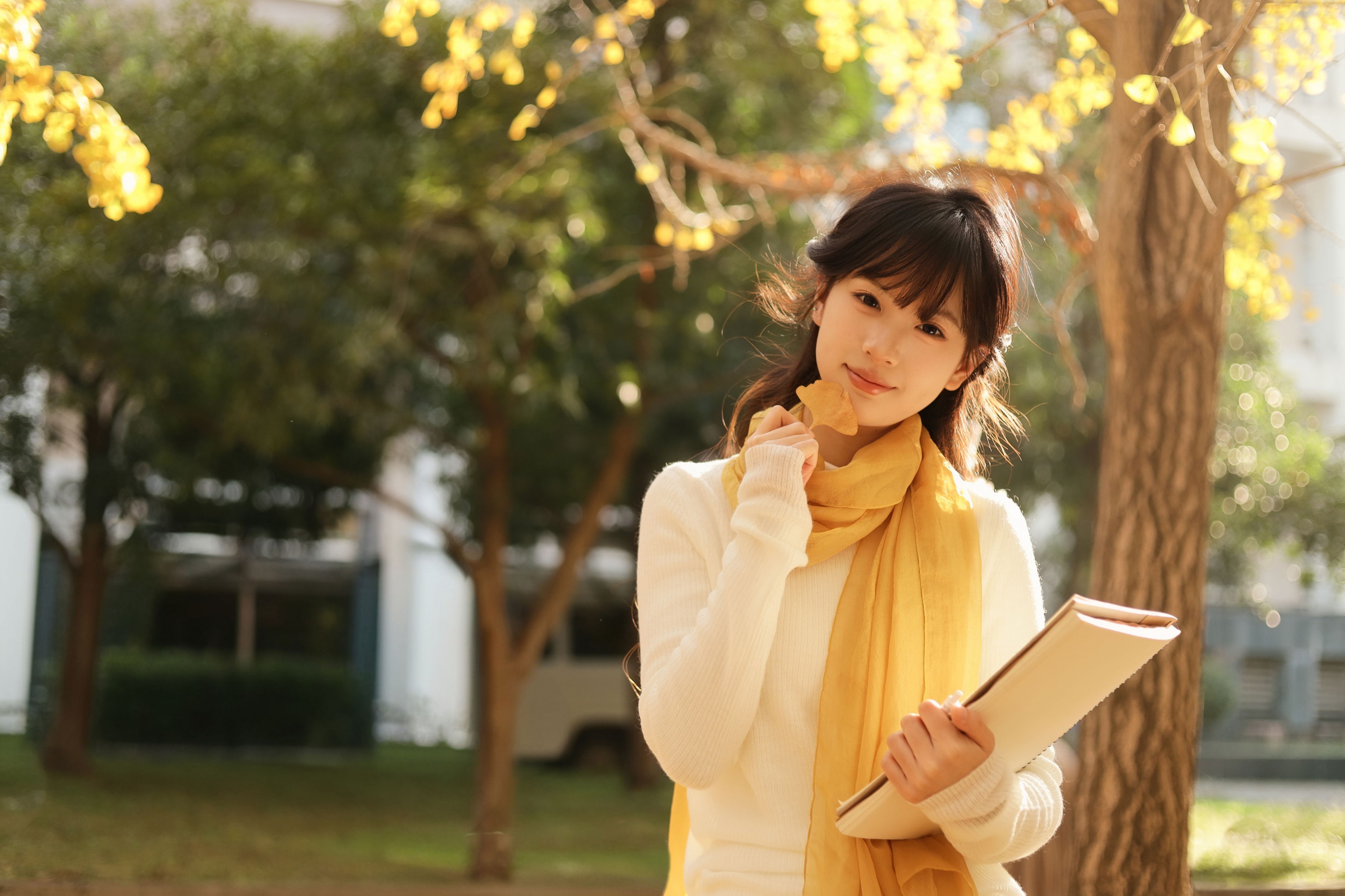 苗苗 - 《秋日银杏》[20P]