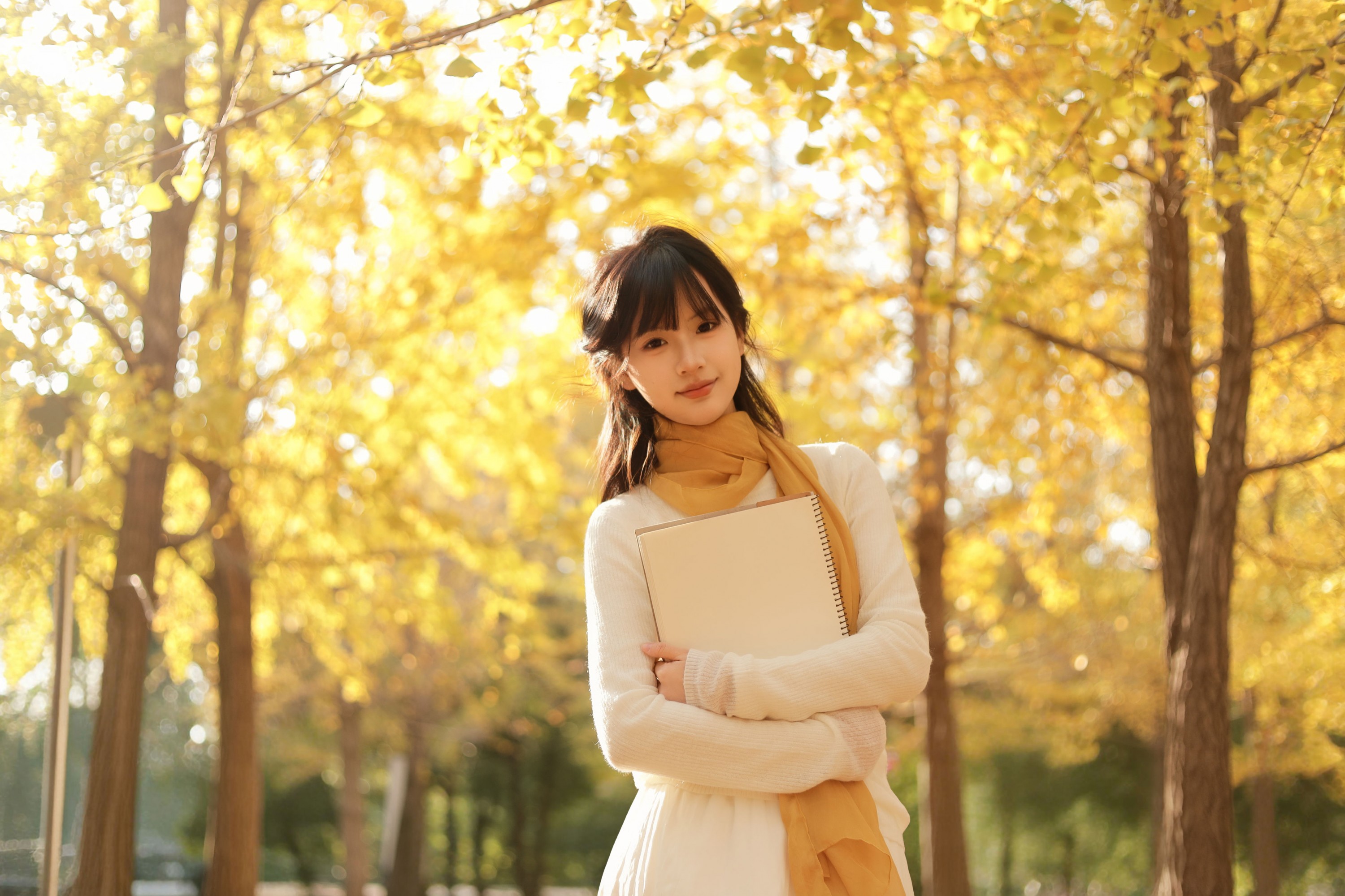 苗苗 - 《秋日银杏》[20P]