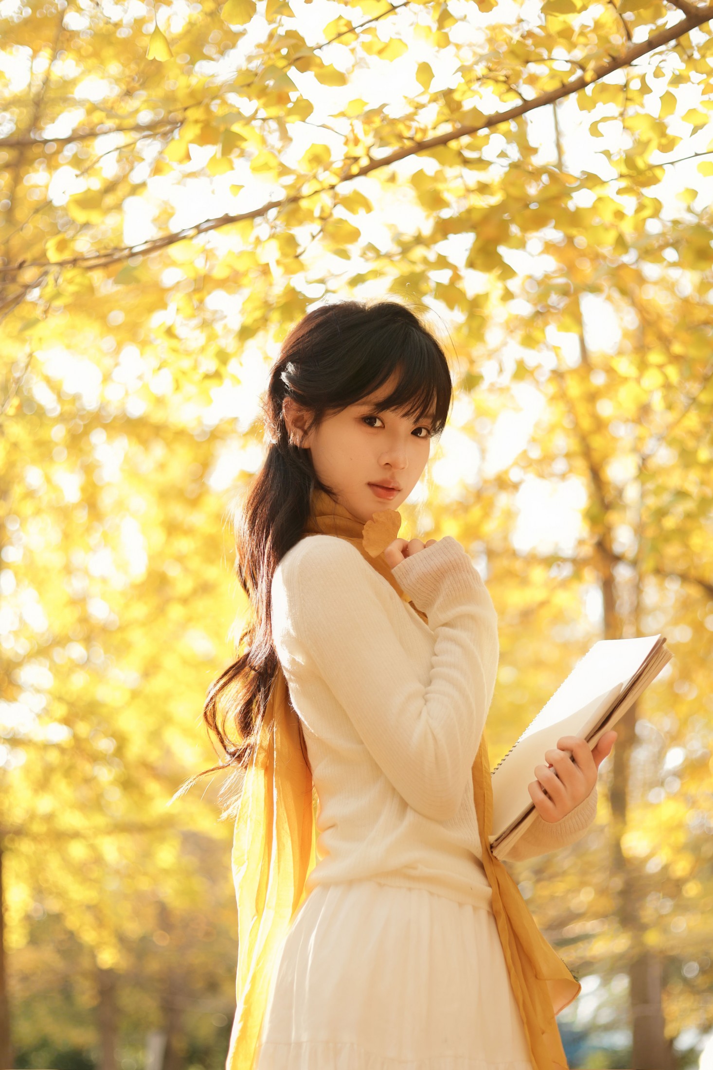 苗苗 - 《秋日银杏》[20P]