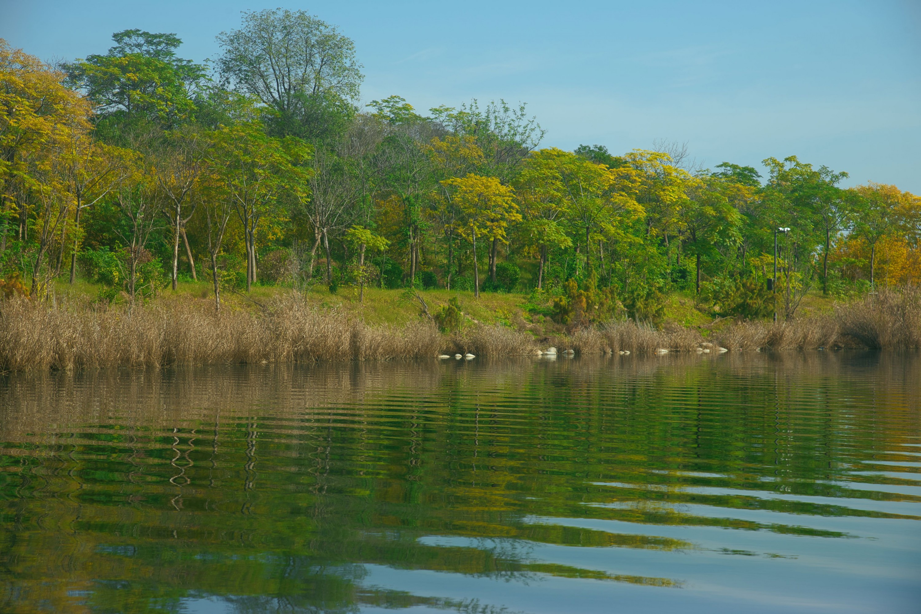 《【蒲城】在蒲城游玩的时光》[10P]