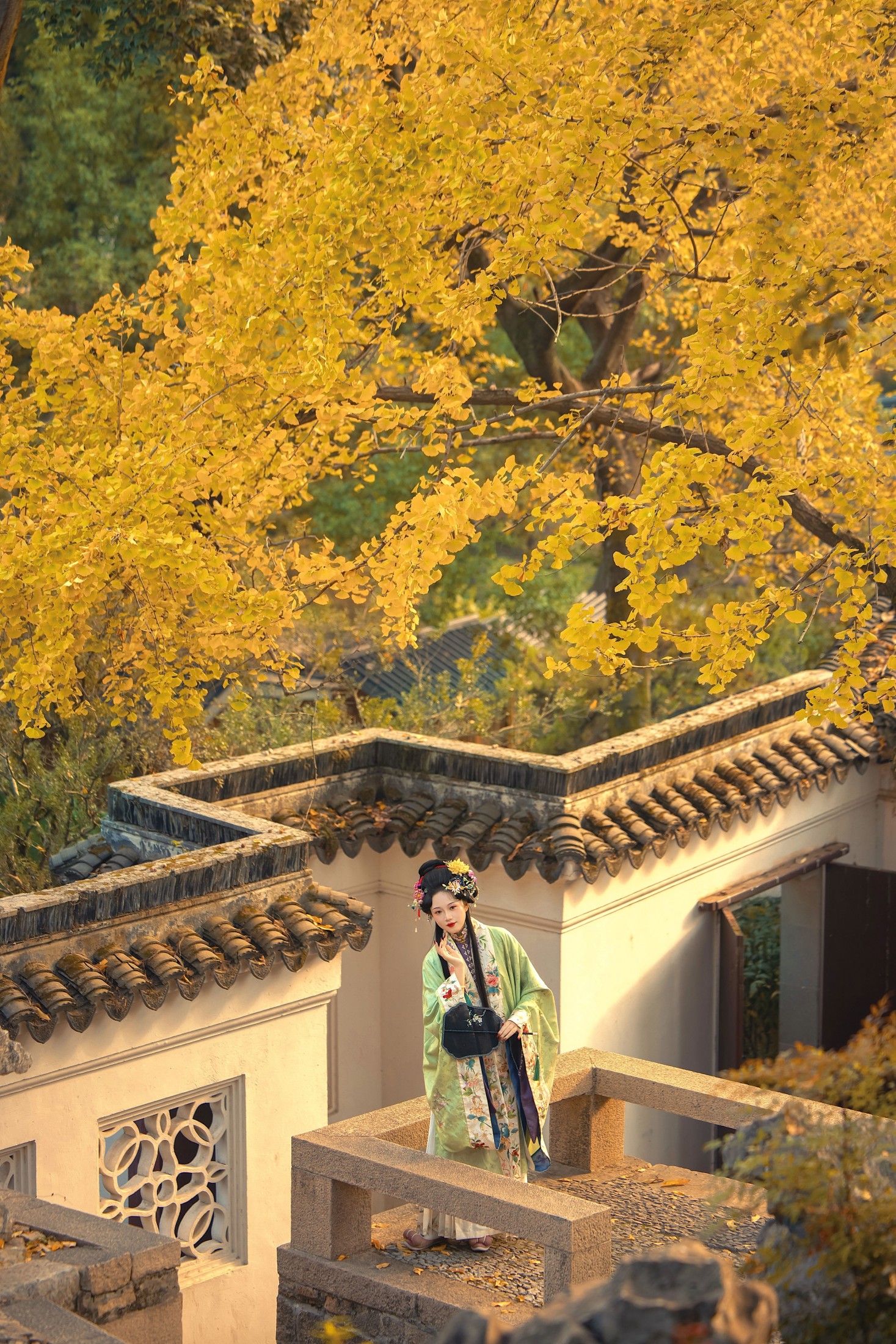 《万物已惊秋》[10P]