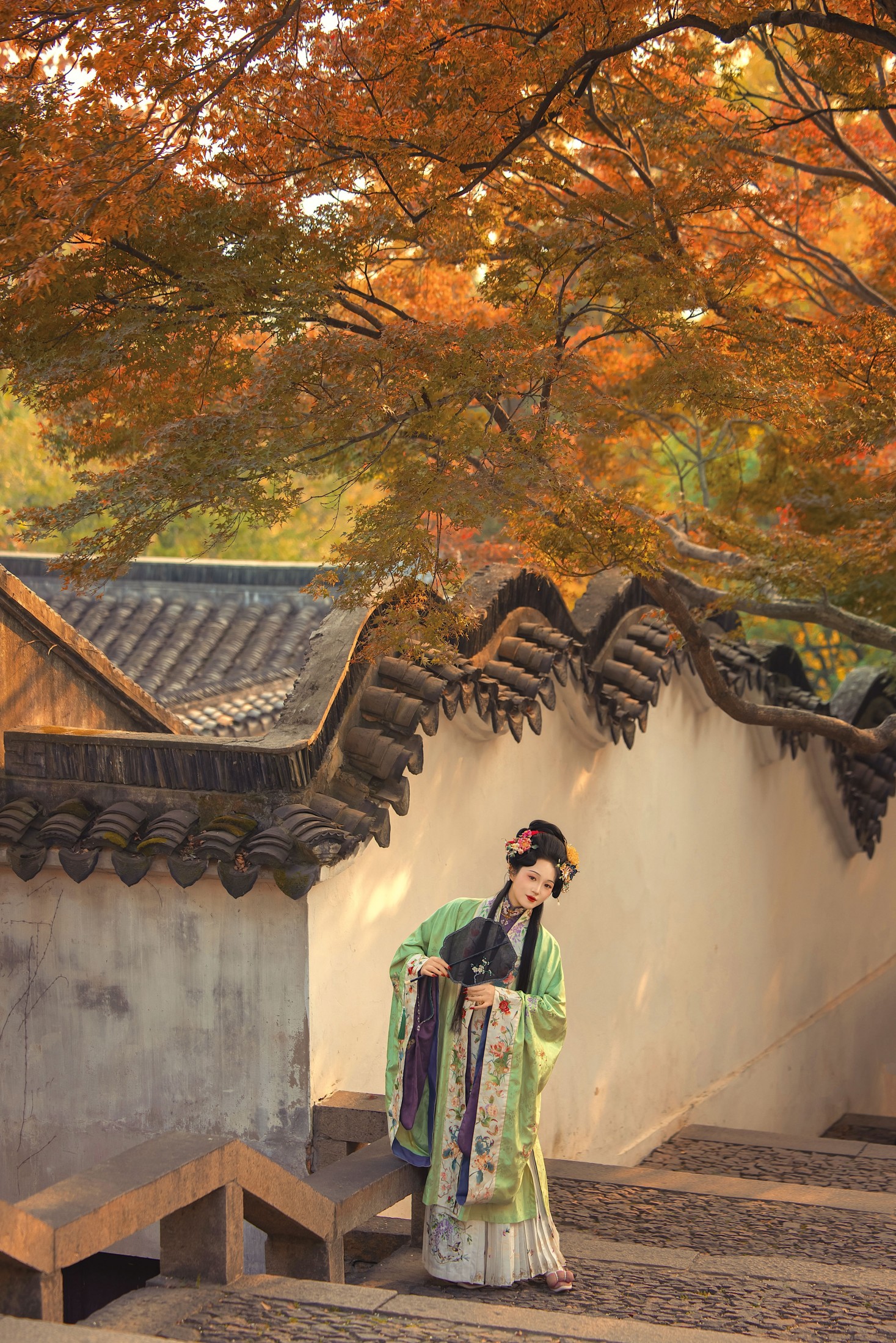 《万物已惊秋》[10P]