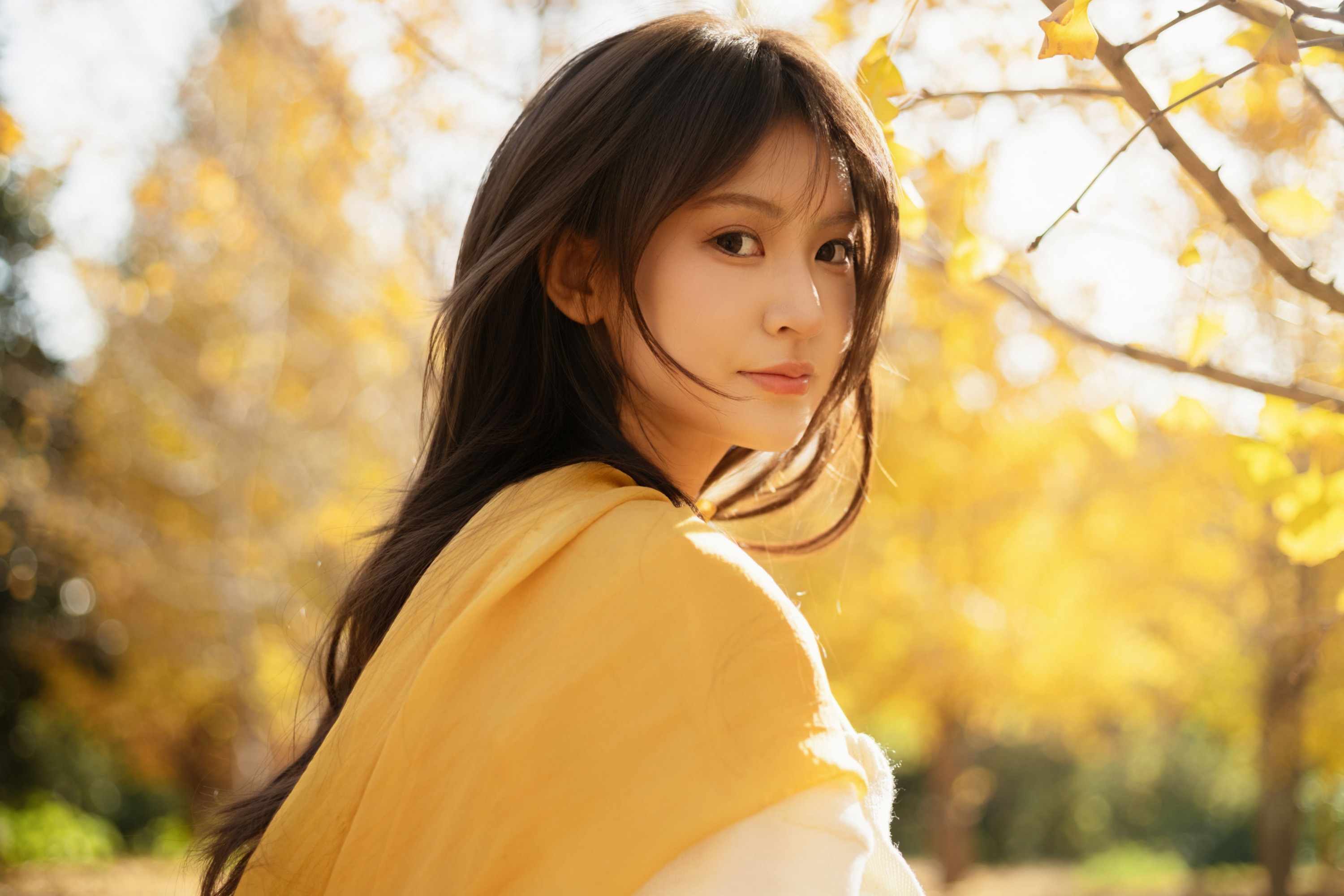 景猪 - 《金秋银杏》[35P]