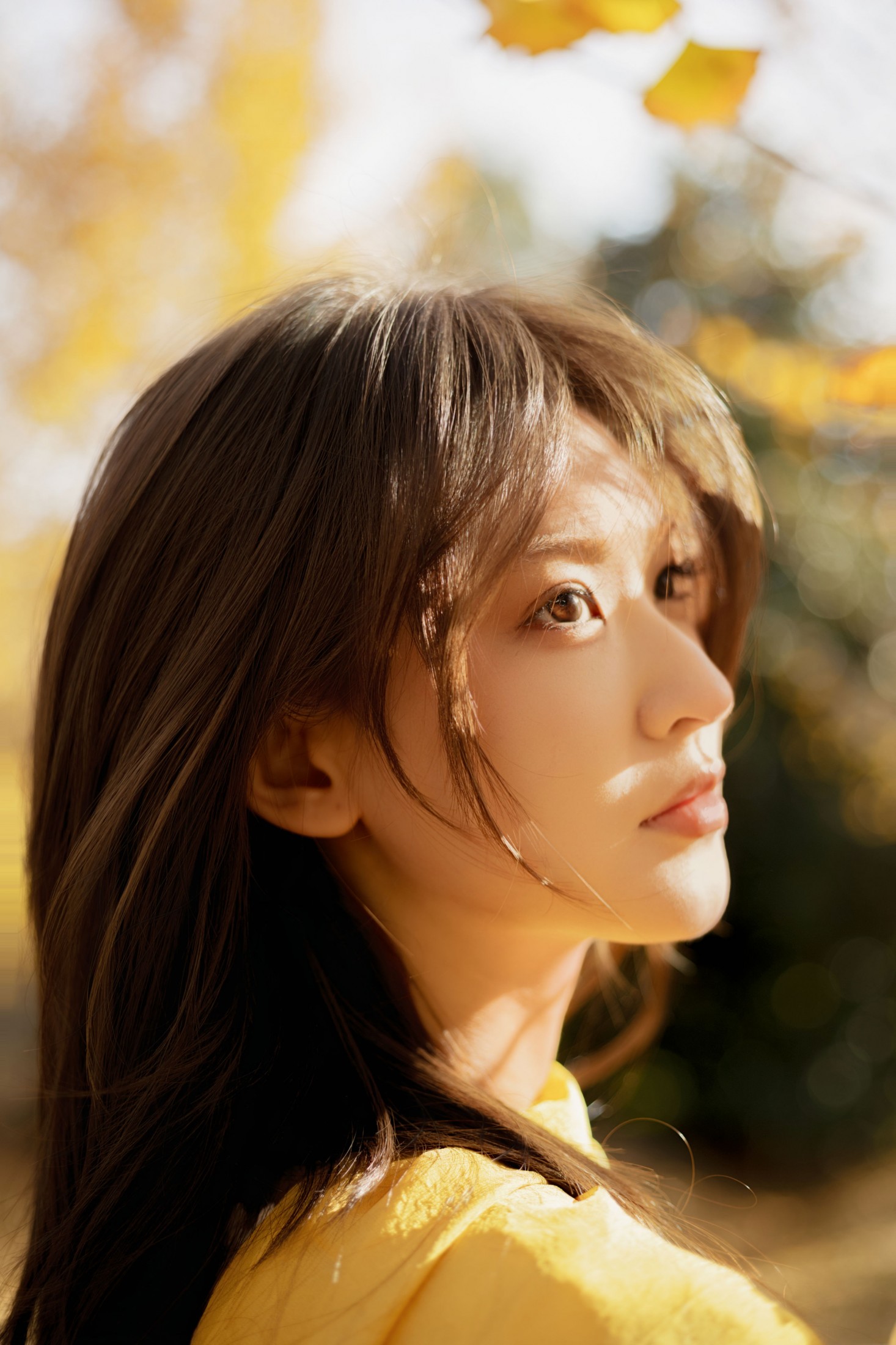 景猪 - 《金秋银杏》[35P]