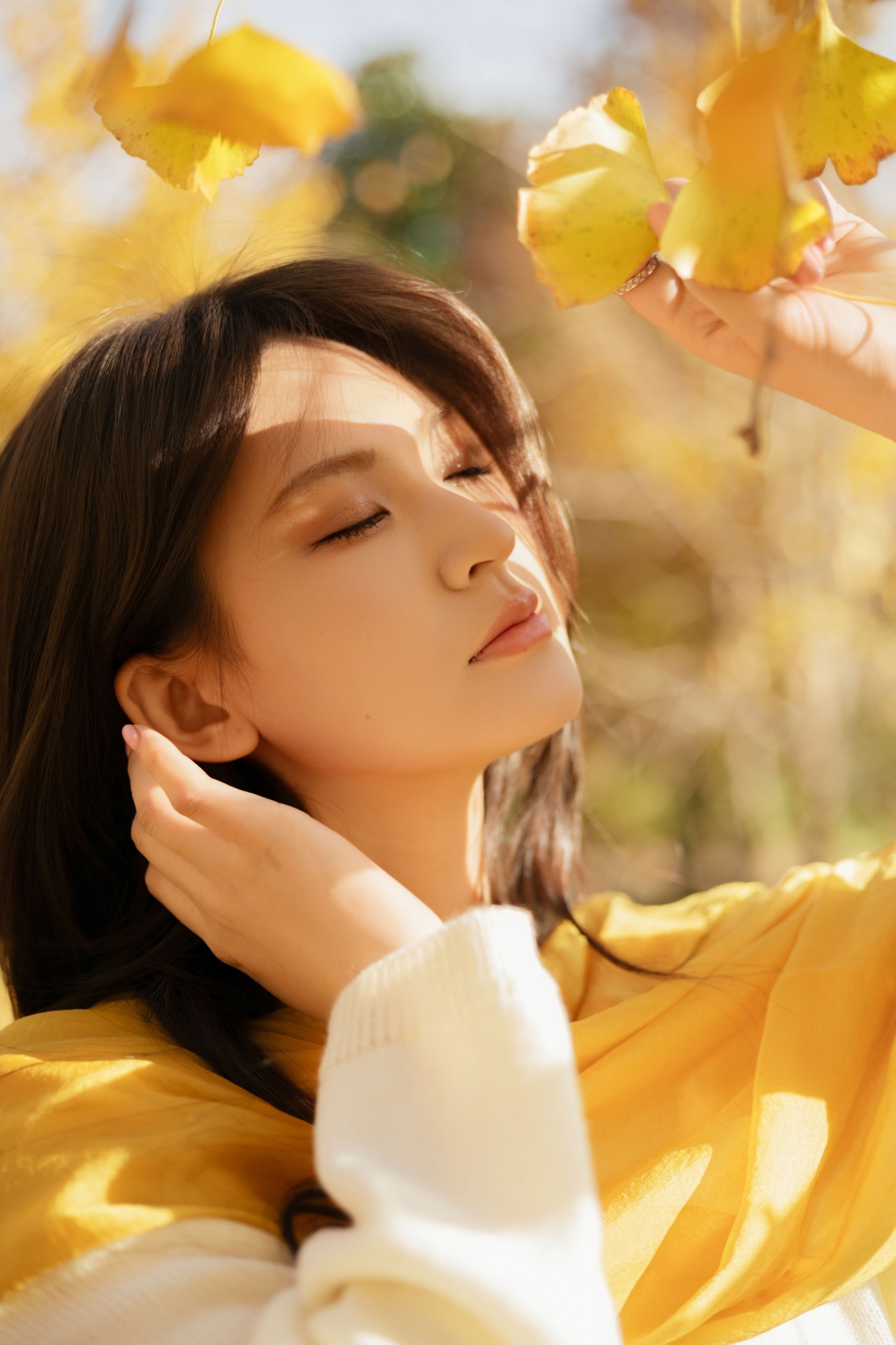 景猪 - 《金秋银杏》[35P]