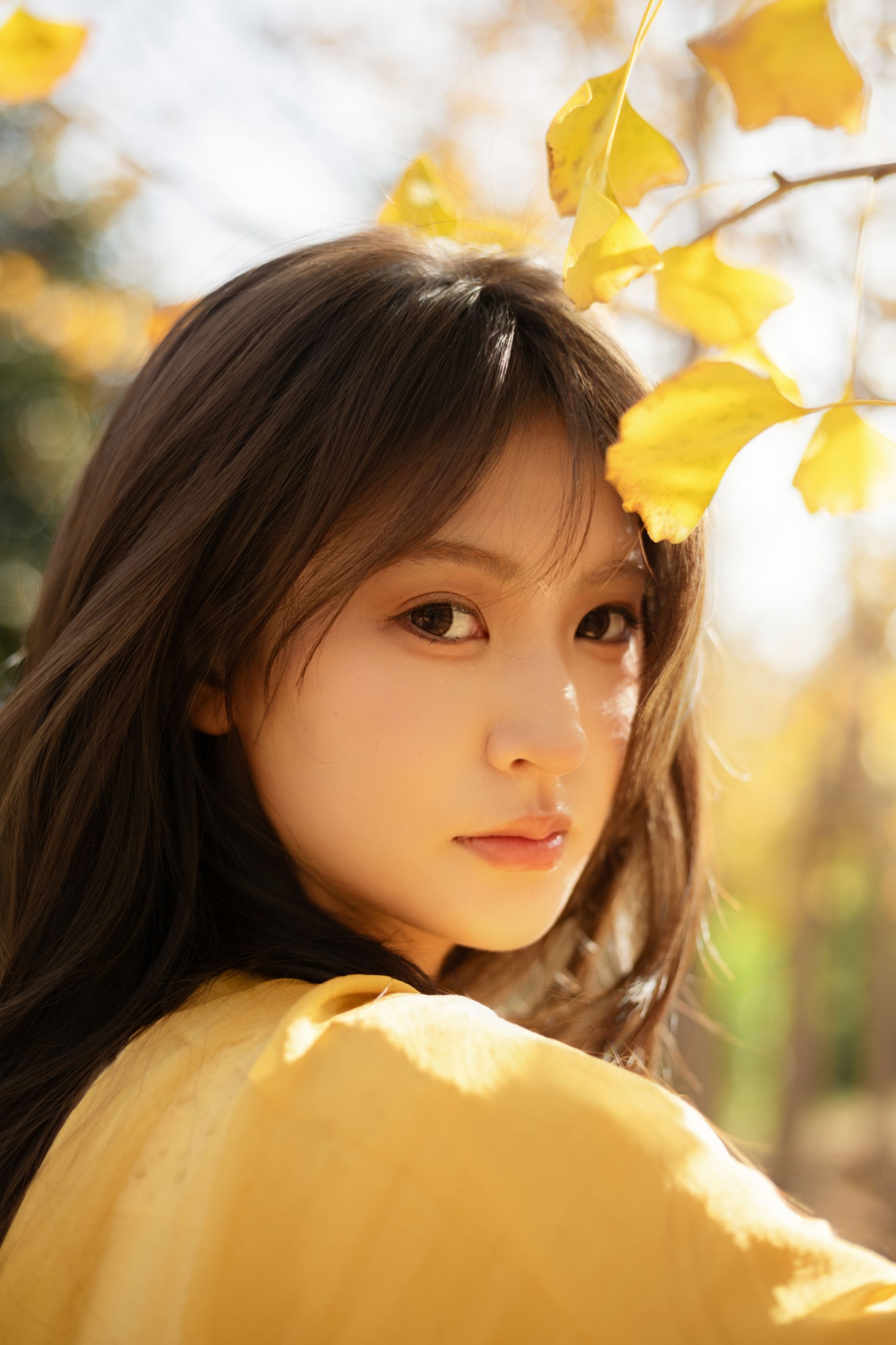 景猪 - 《金秋银杏》[35P]