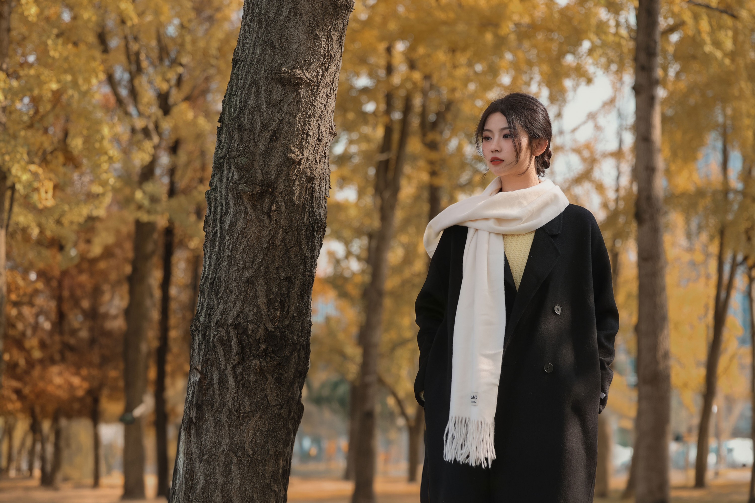 《秋季复古氛围感》[32P]