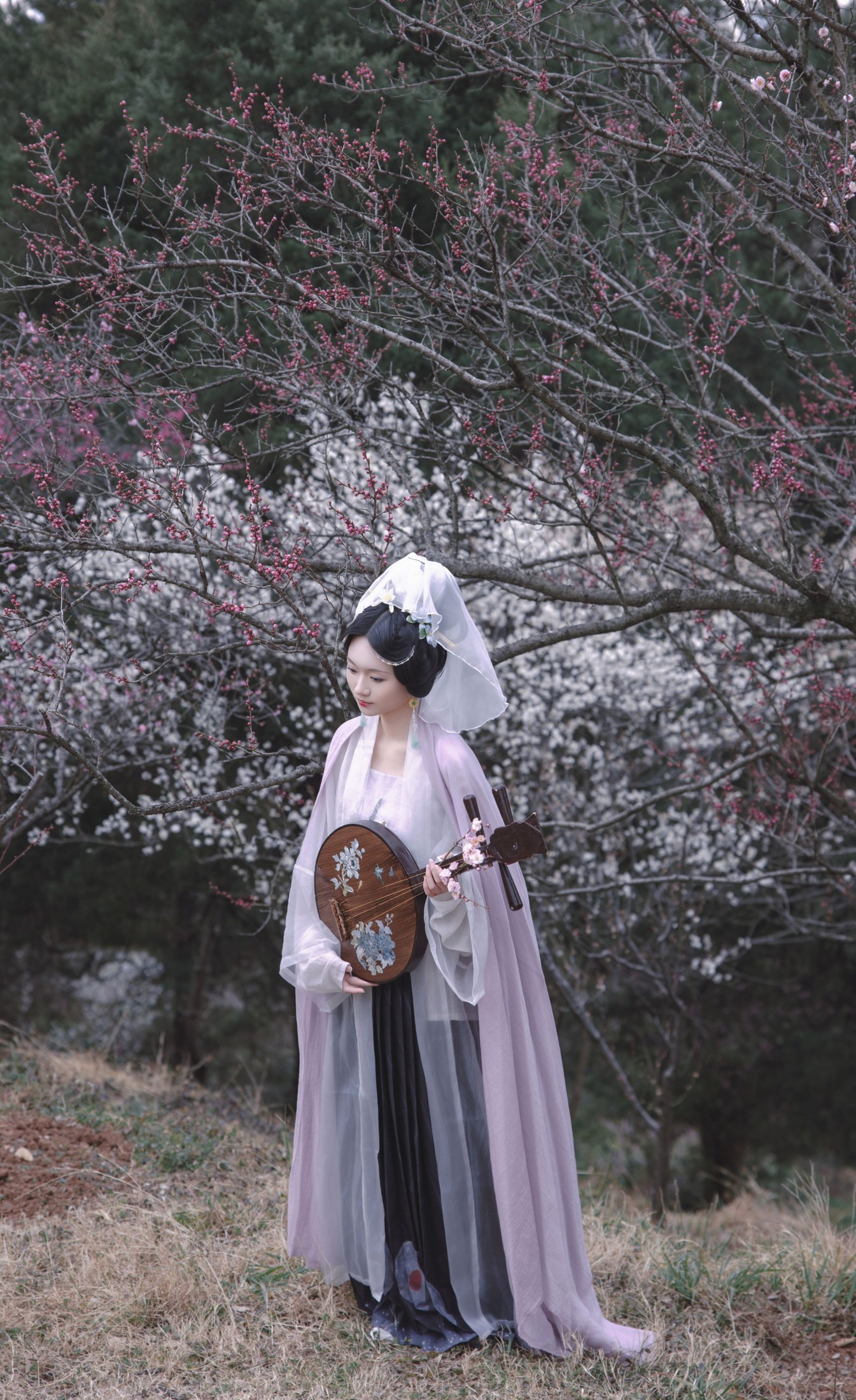 观湳 - 《倚东风，一笑嫣然》[9P]