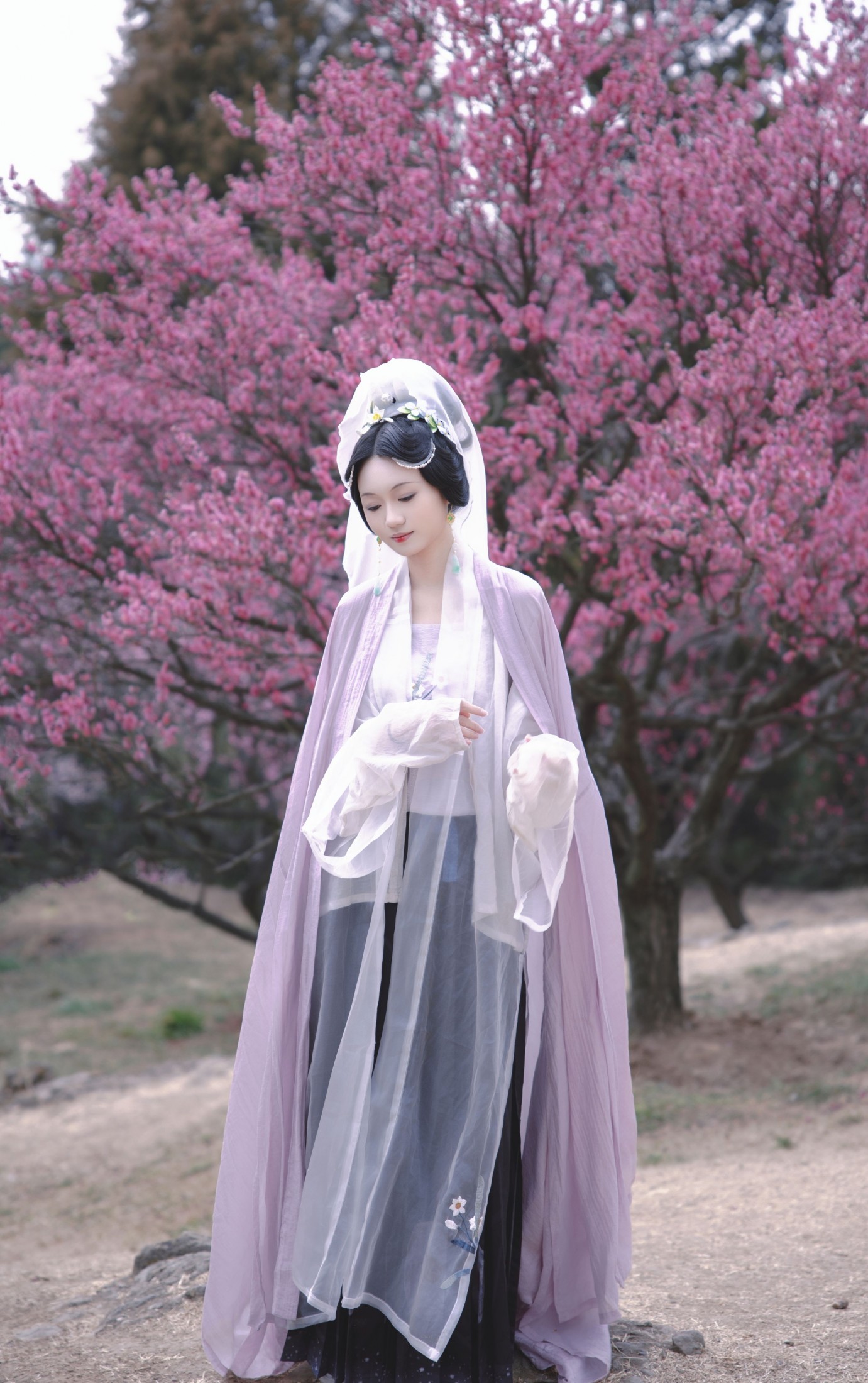 观湳 - 《倚东风，一笑嫣然》[9P]