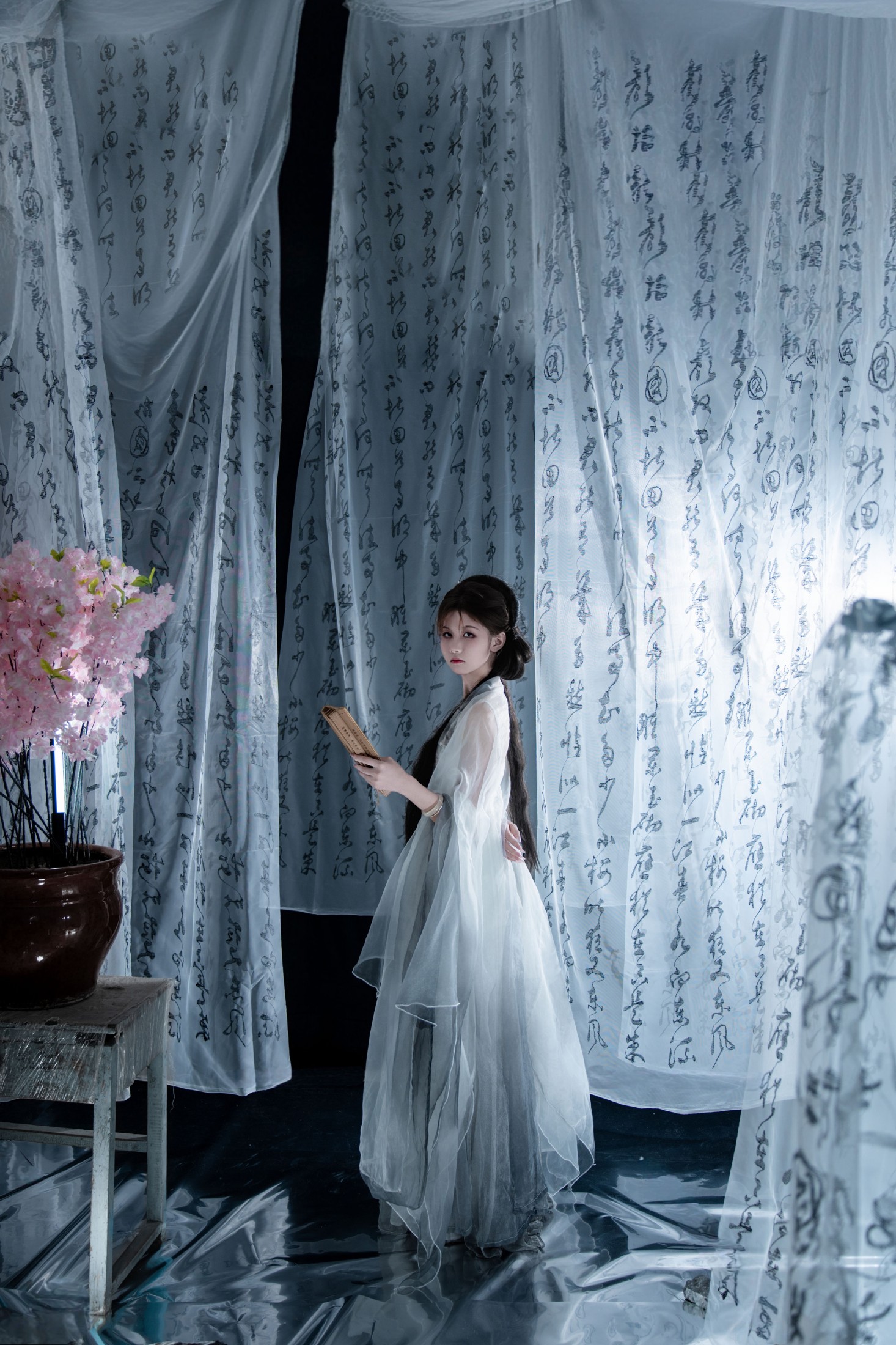 《一剑藏狭义，一卷纳山河》[13P]