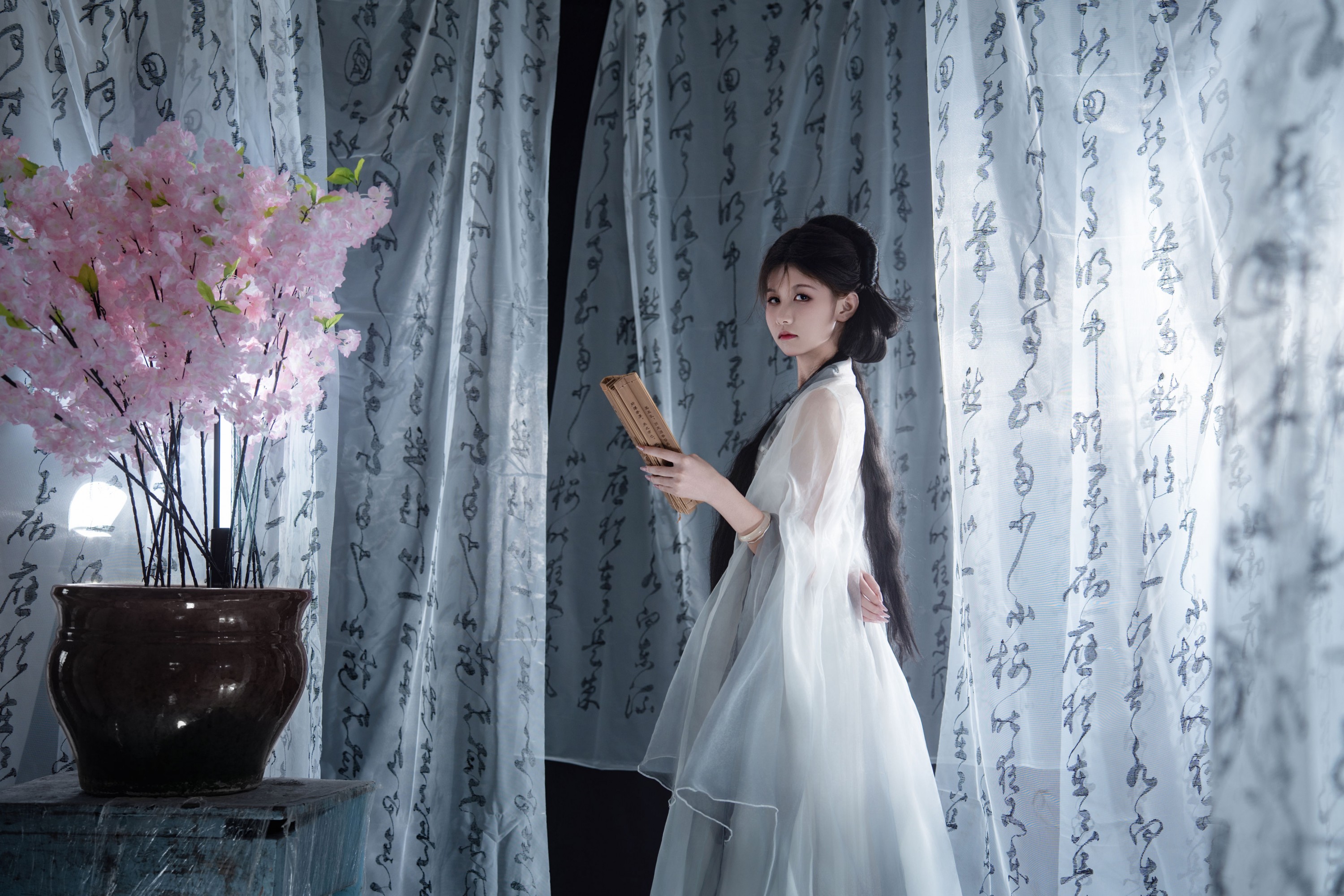 《一剑藏狭义，一卷纳山河》[13P]