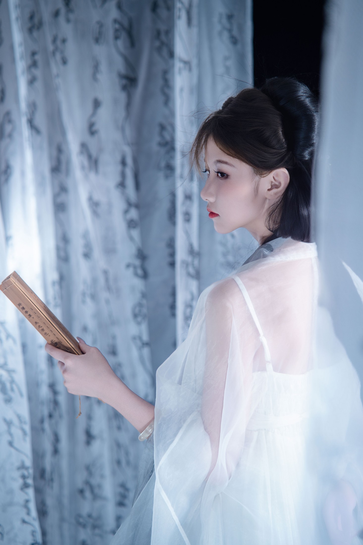 《一剑藏狭义，一卷纳山河》[13P]