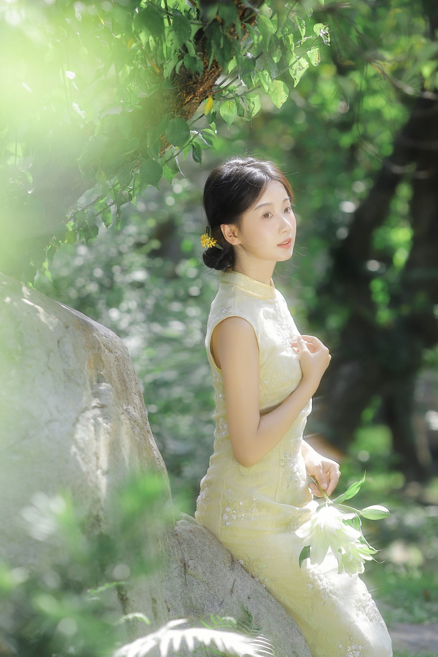 摘星星给你呀 - 《欲买桂花同载酒》[45P]