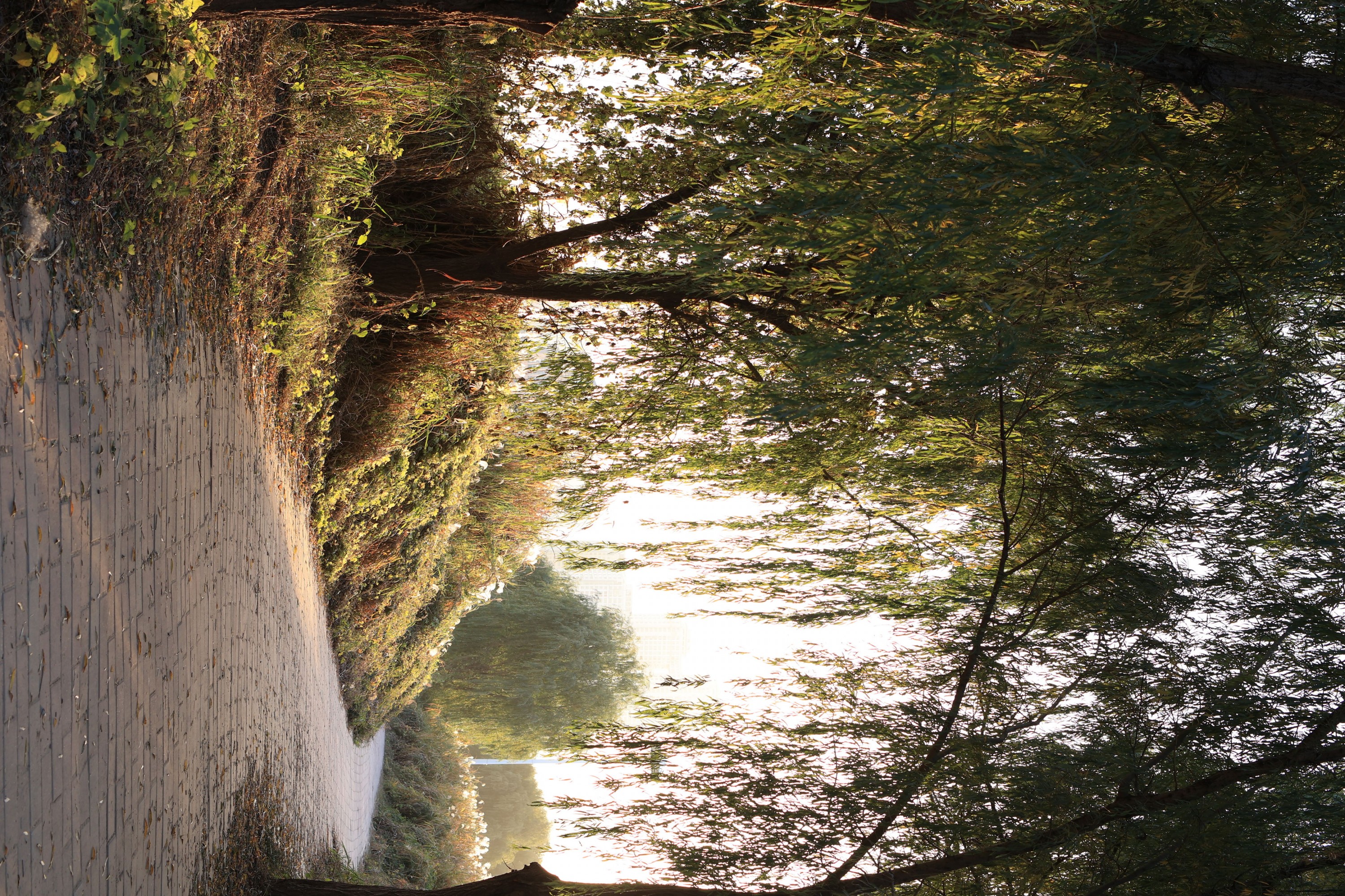 《光影随手拍》[9P]