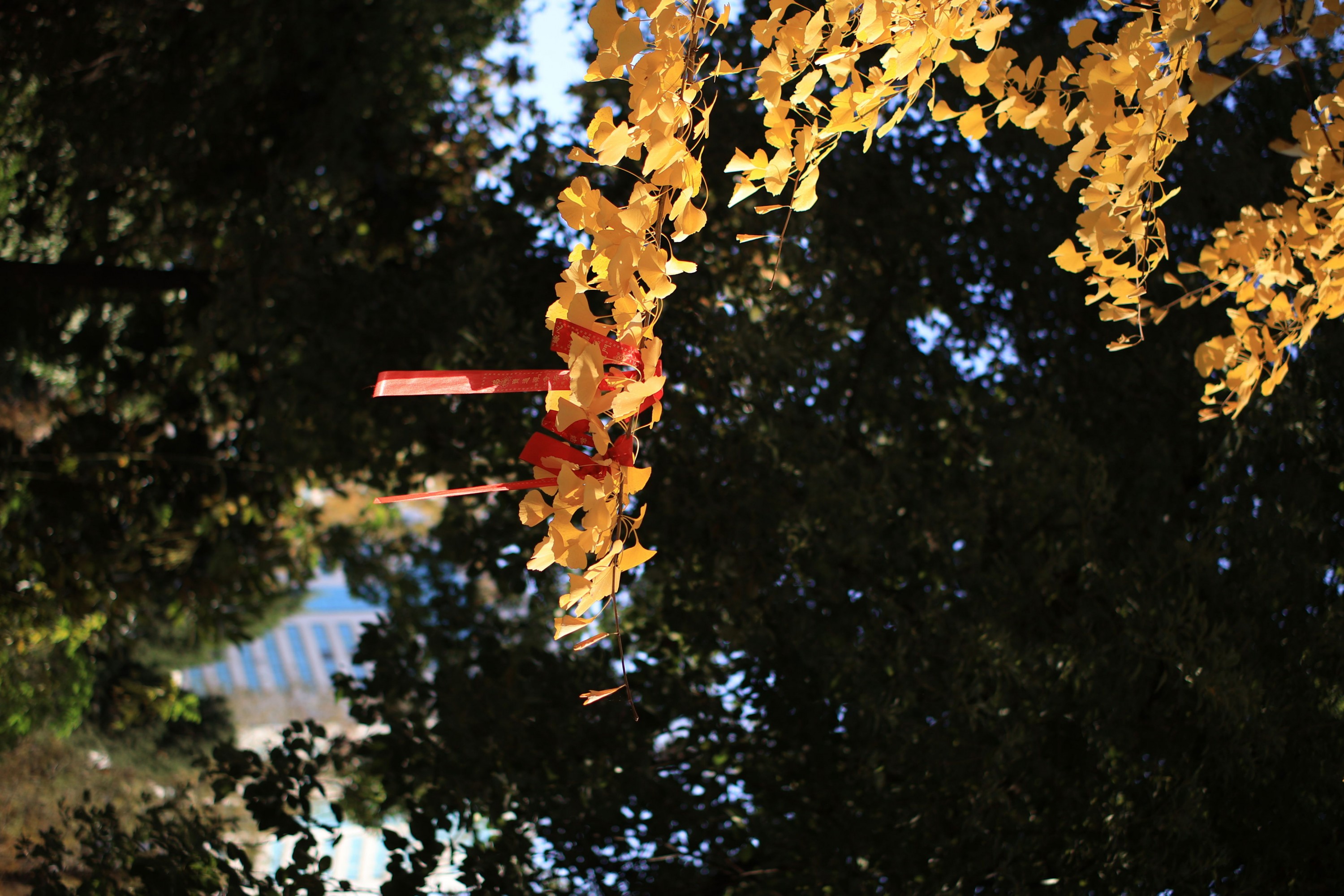 《光影随手拍》[9P]