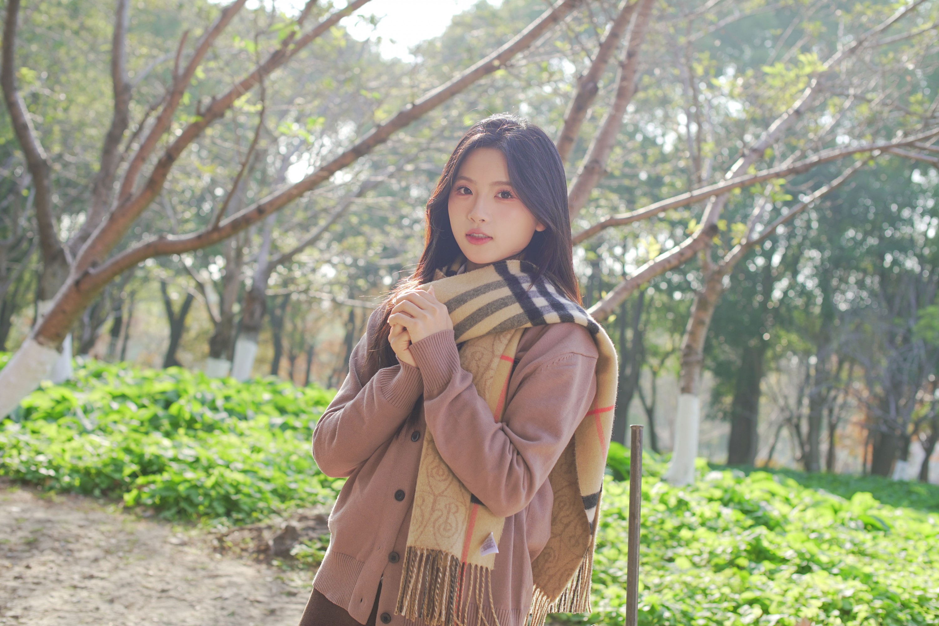 《公园午后的焦糖色温柔》[40P]