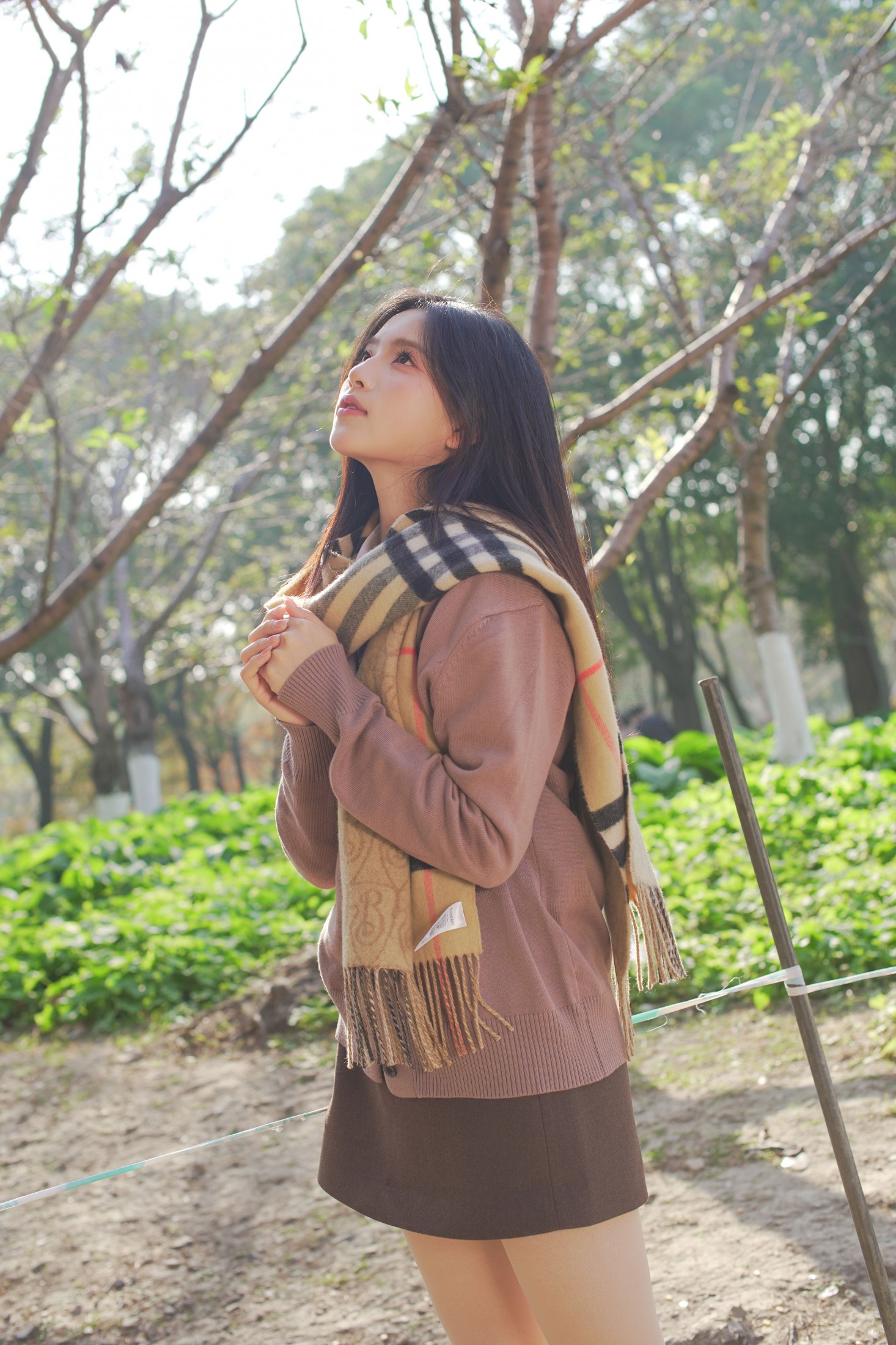 《公园午后的焦糖色温柔》[40P]