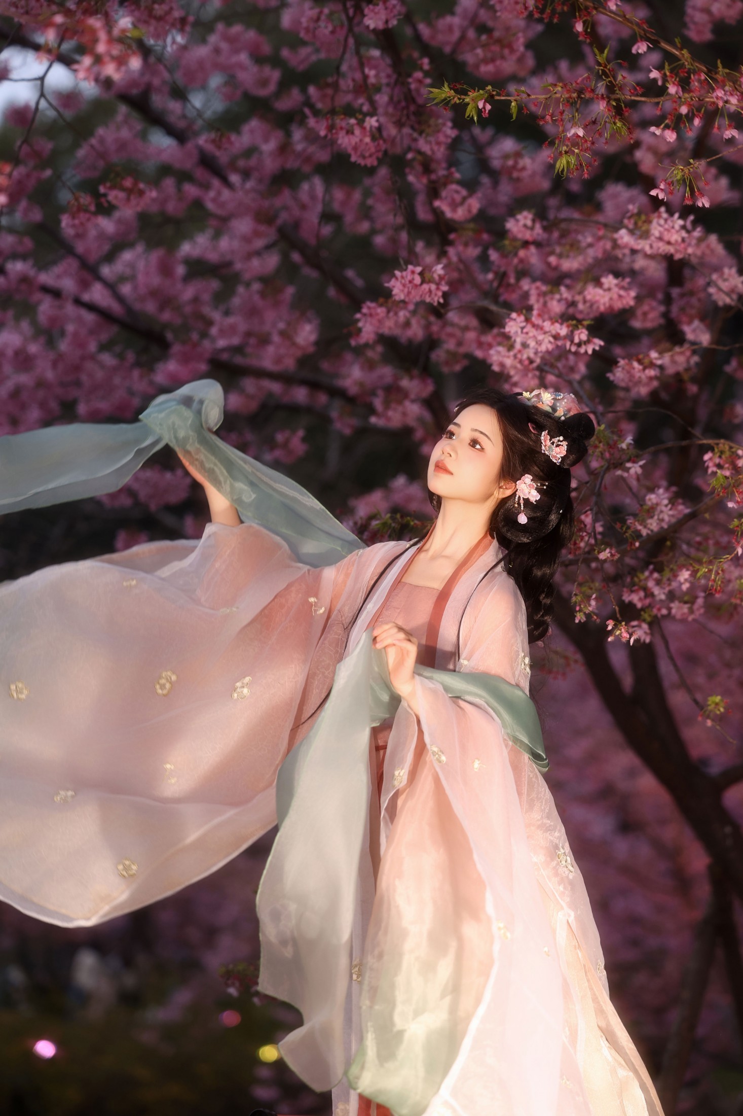 小杜同学 - 《夜樱语》[14P]