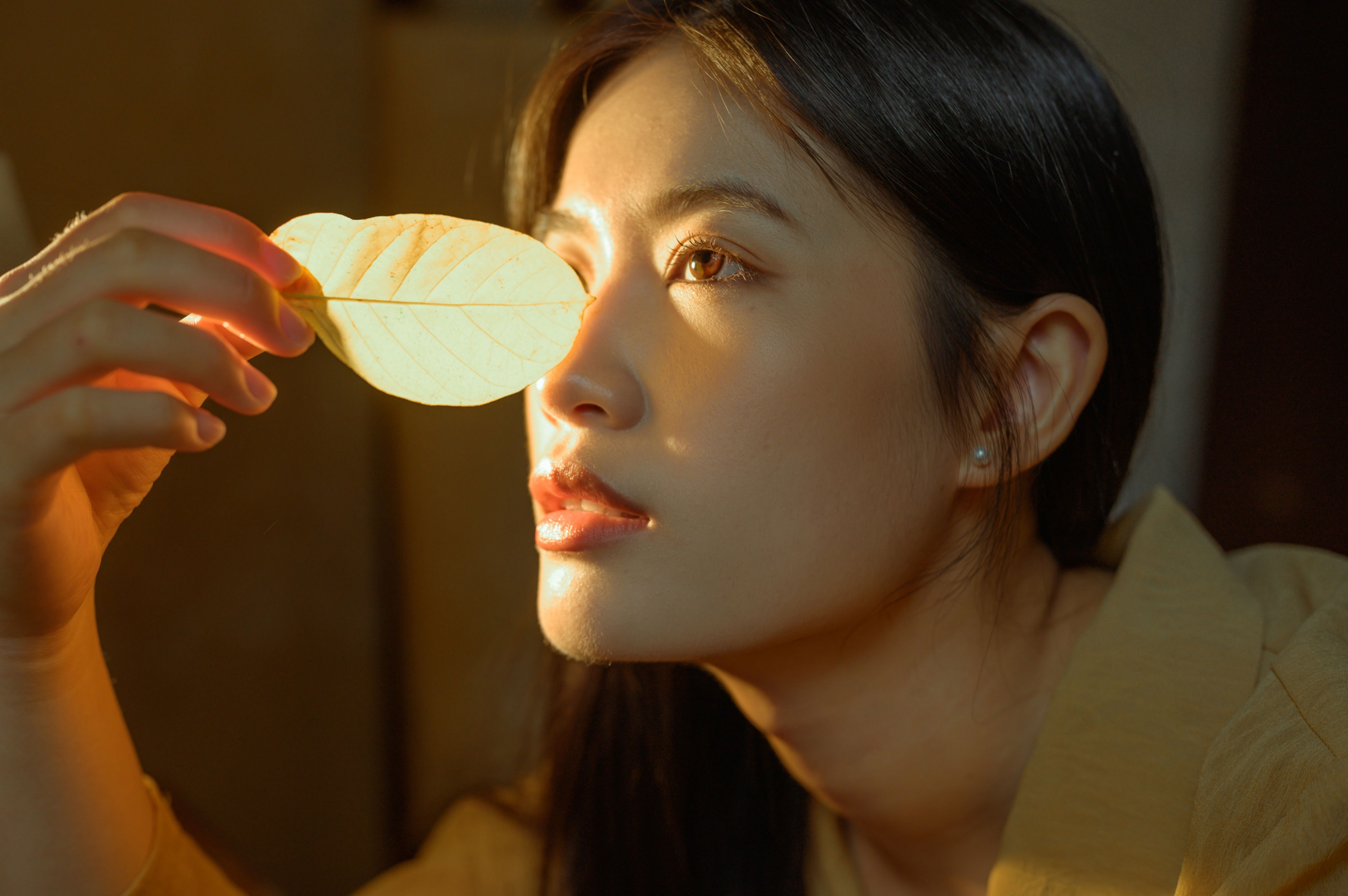 芦苇微微 - 《枯叶》[23P]