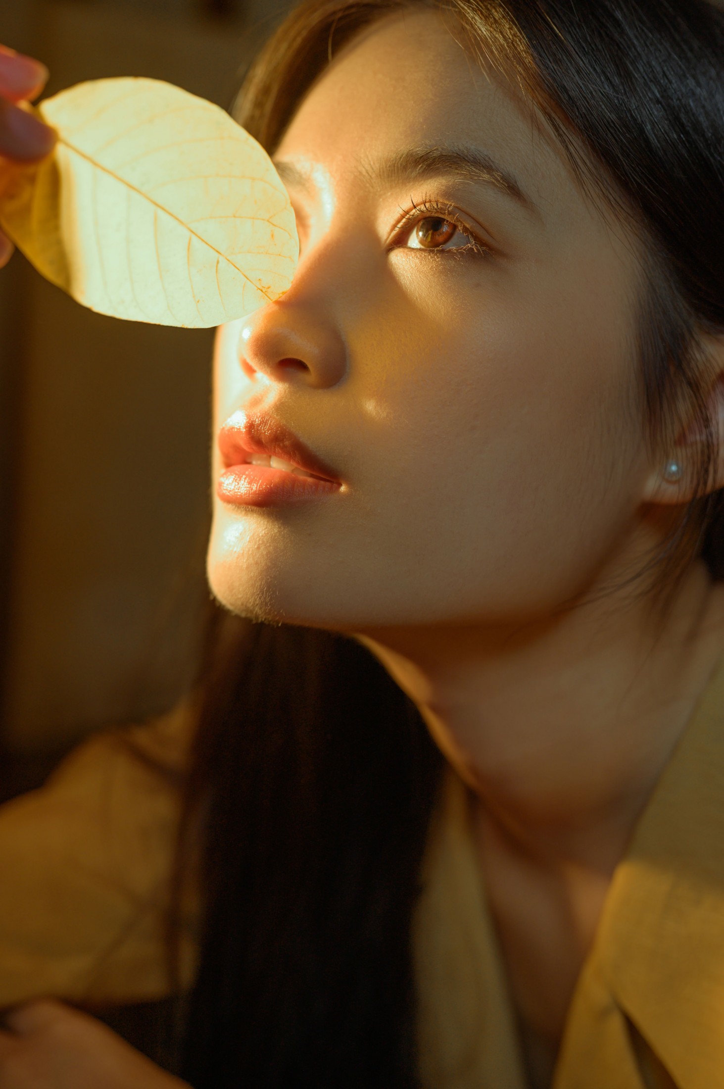 芦苇微微 - 《枯叶》[23P]