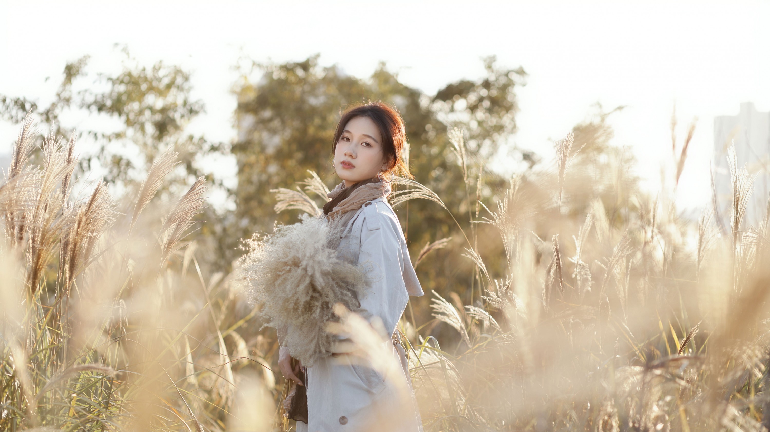 《芦苇荡的日落，是晚秋寄来的一封默片》[15P]