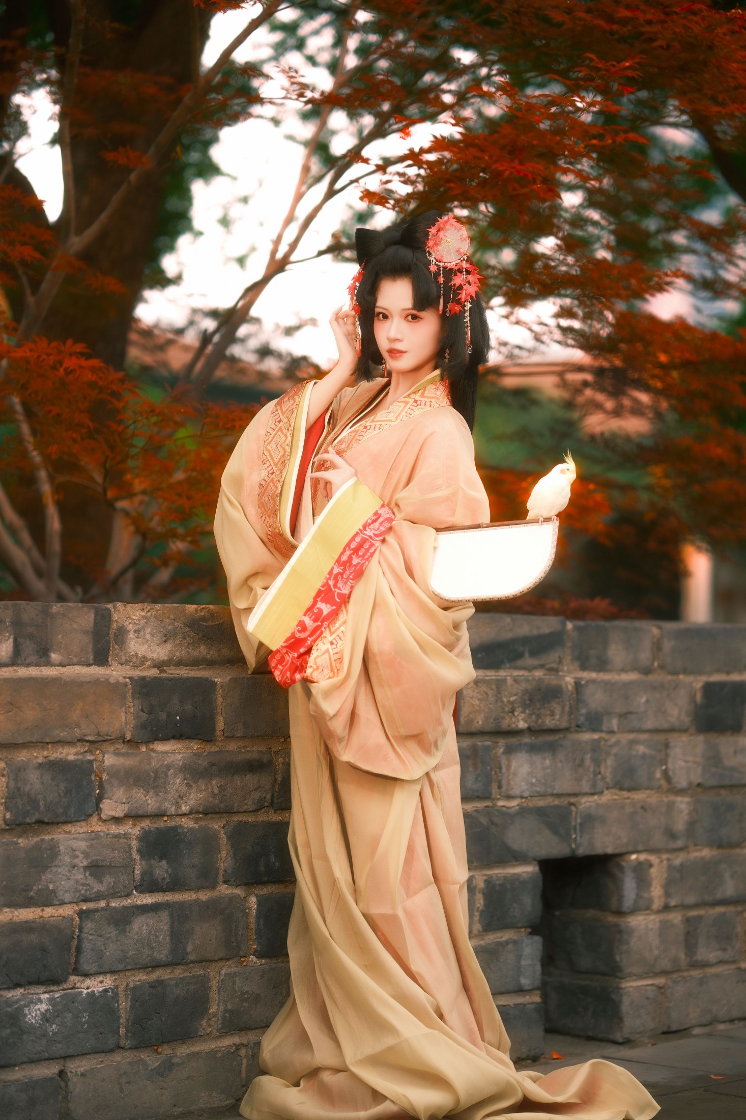 《红枫梦》[27P]