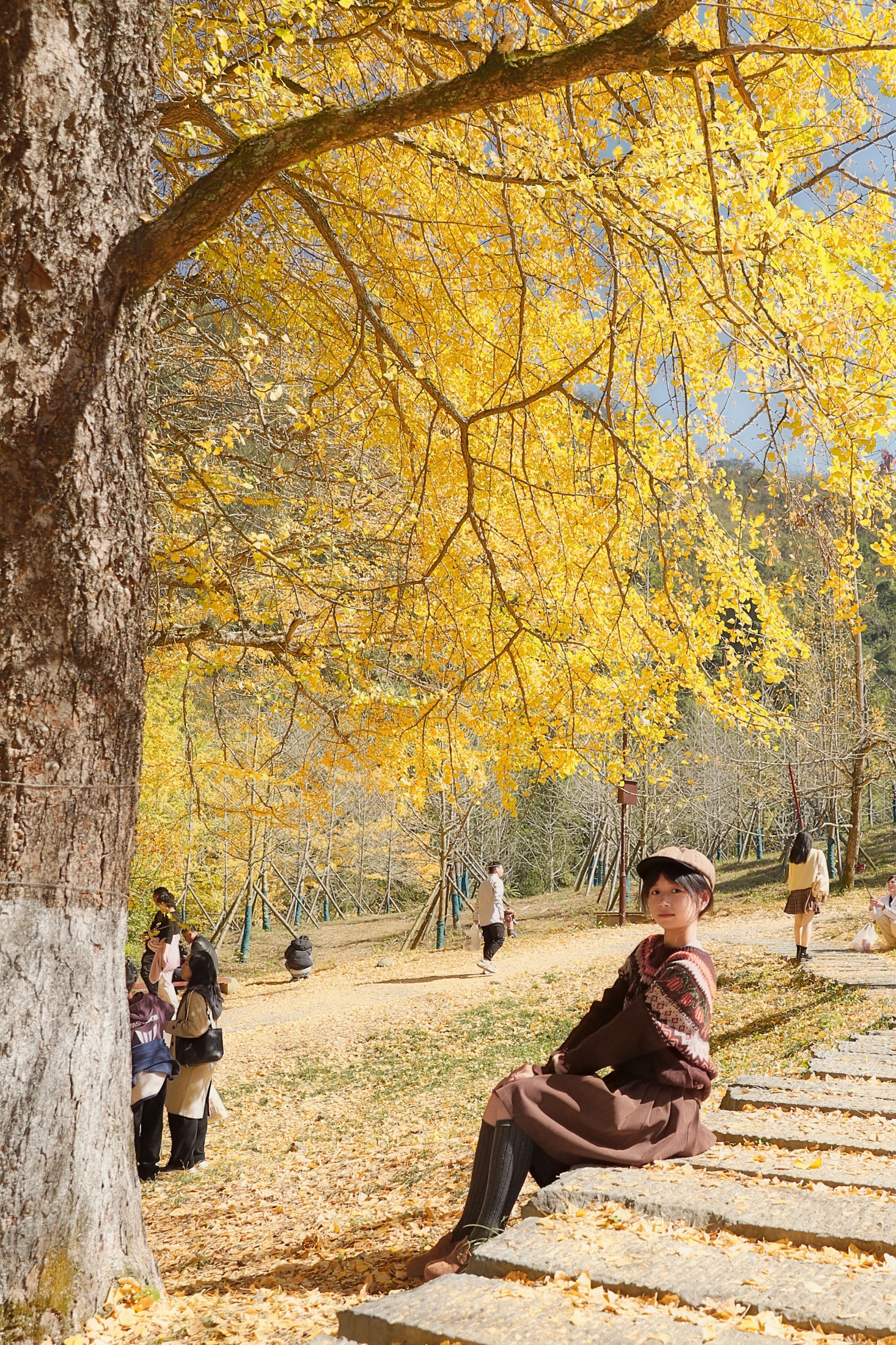 《秋天它温吞、平和、慢悠悠，和我的生命是同一种质地。》[29P]