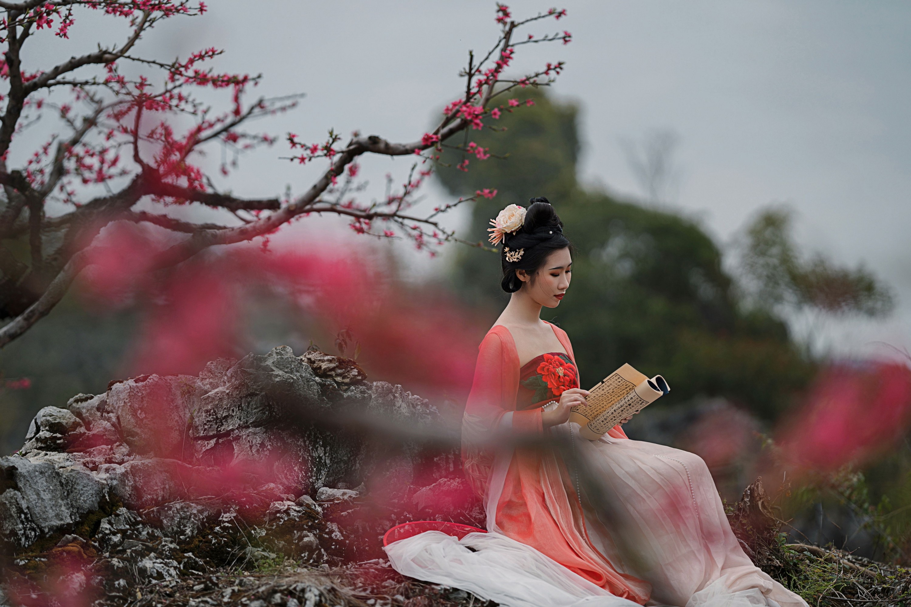 柒茶 - 《三月艳阳春》[29P] 插图4