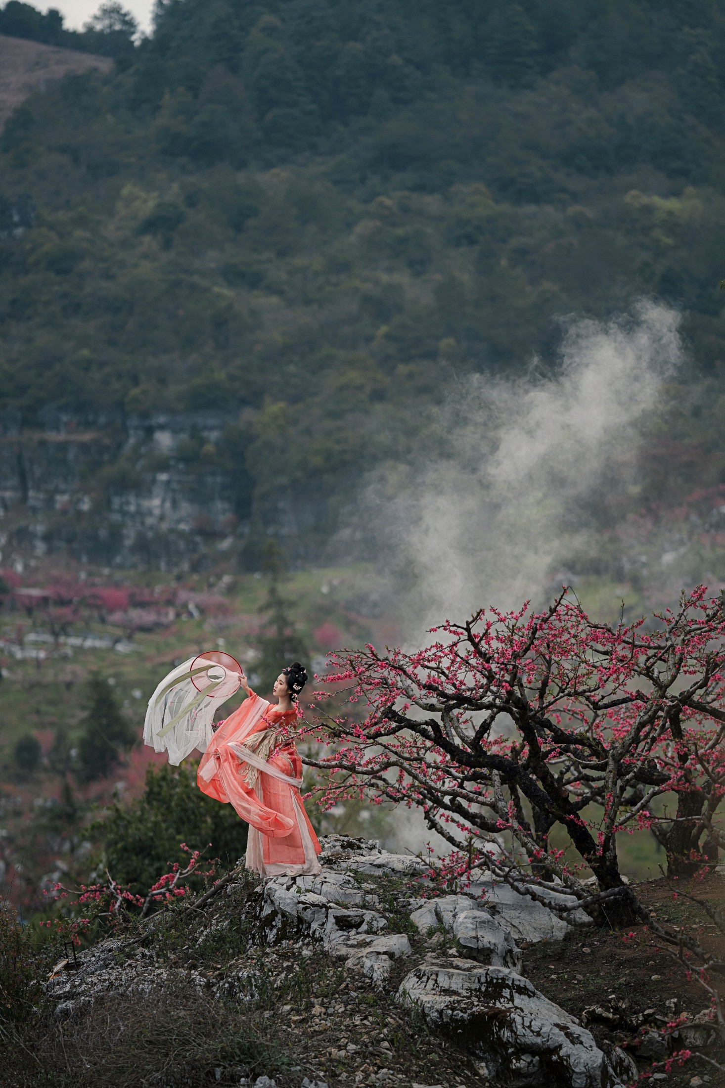 柒茶 – 《三月艳阳春》[29P]