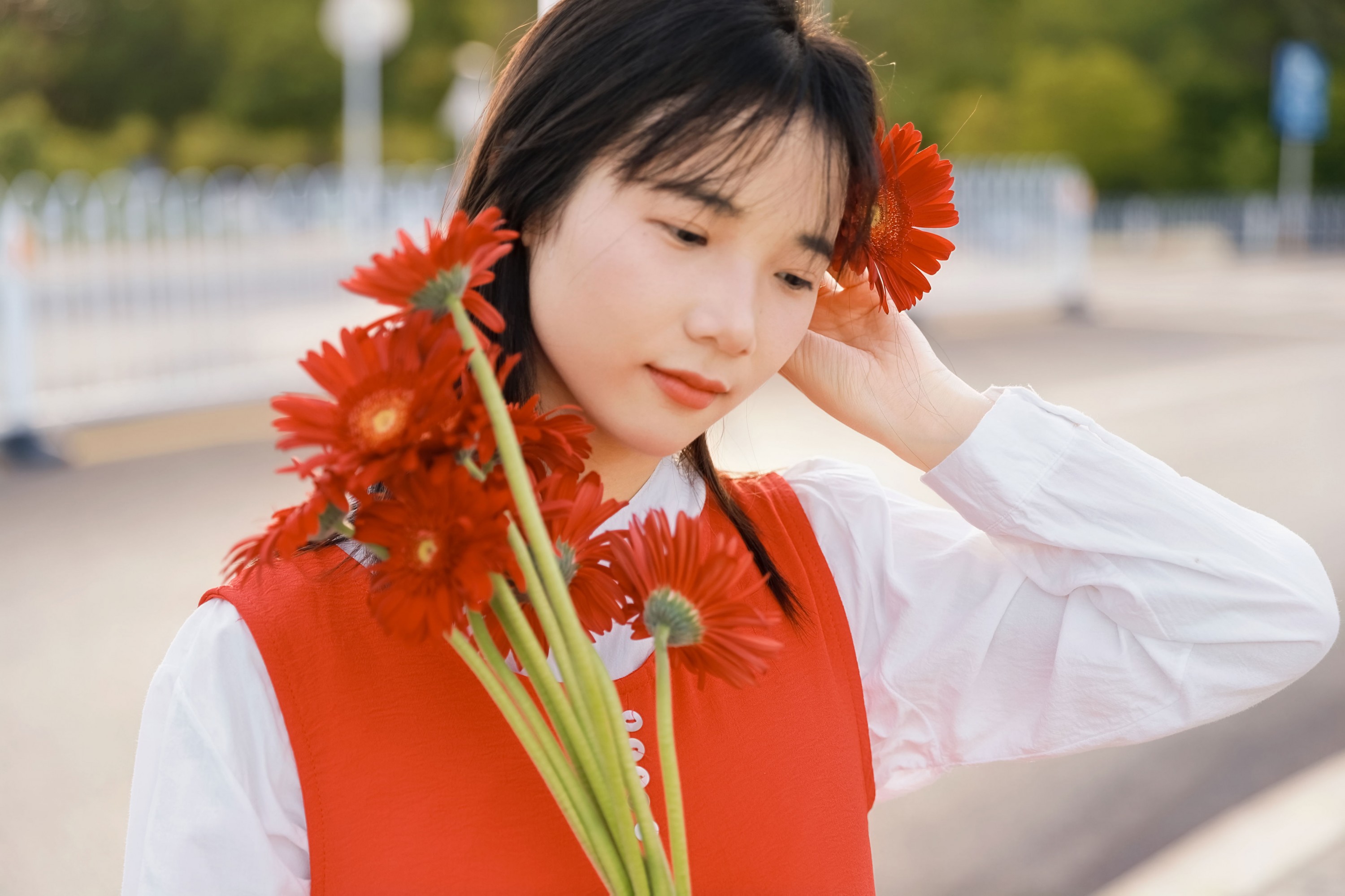 《非洲菊我热烈而平静》[15P]