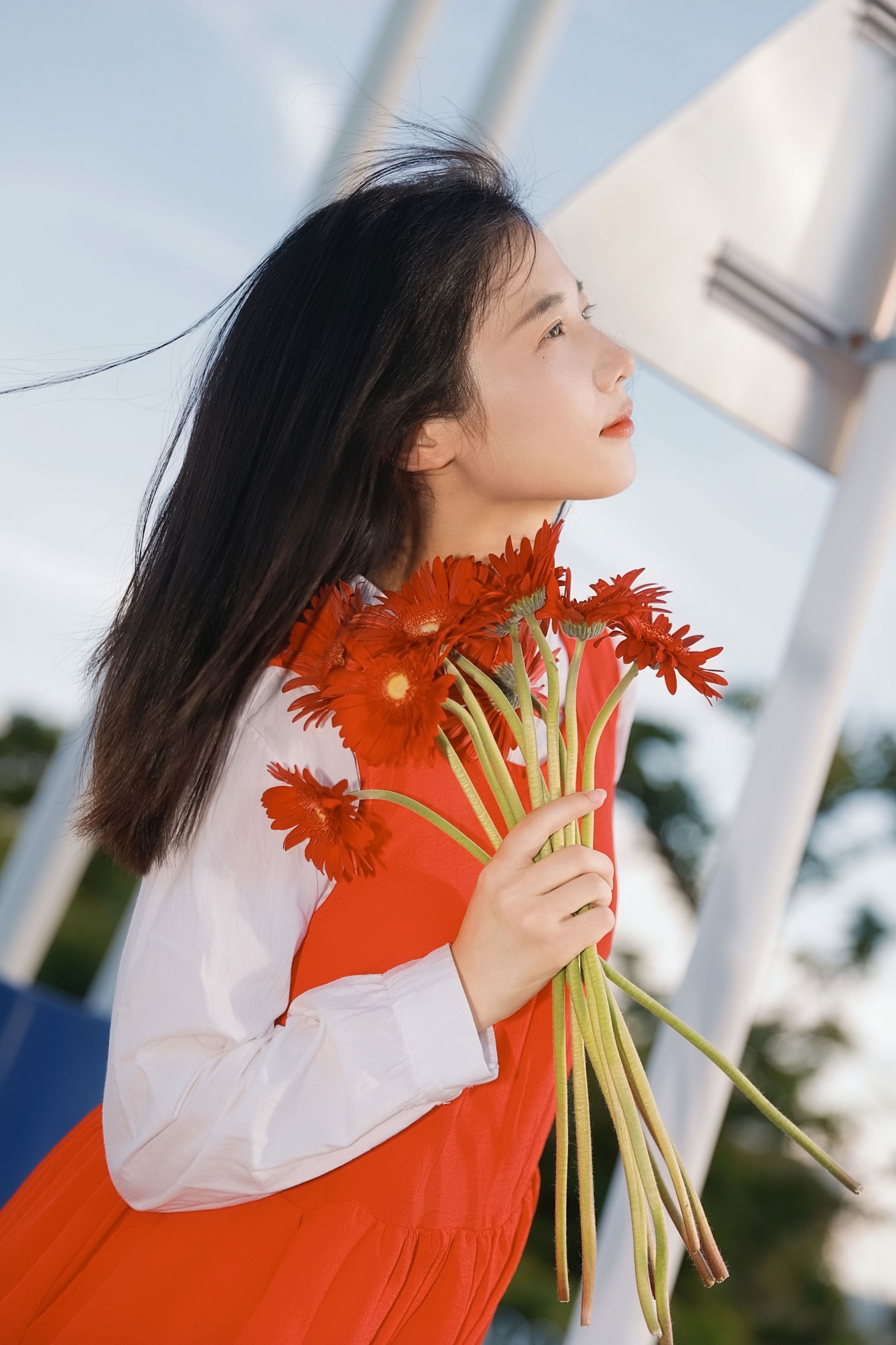 《非洲菊我热烈而平静》[15P]