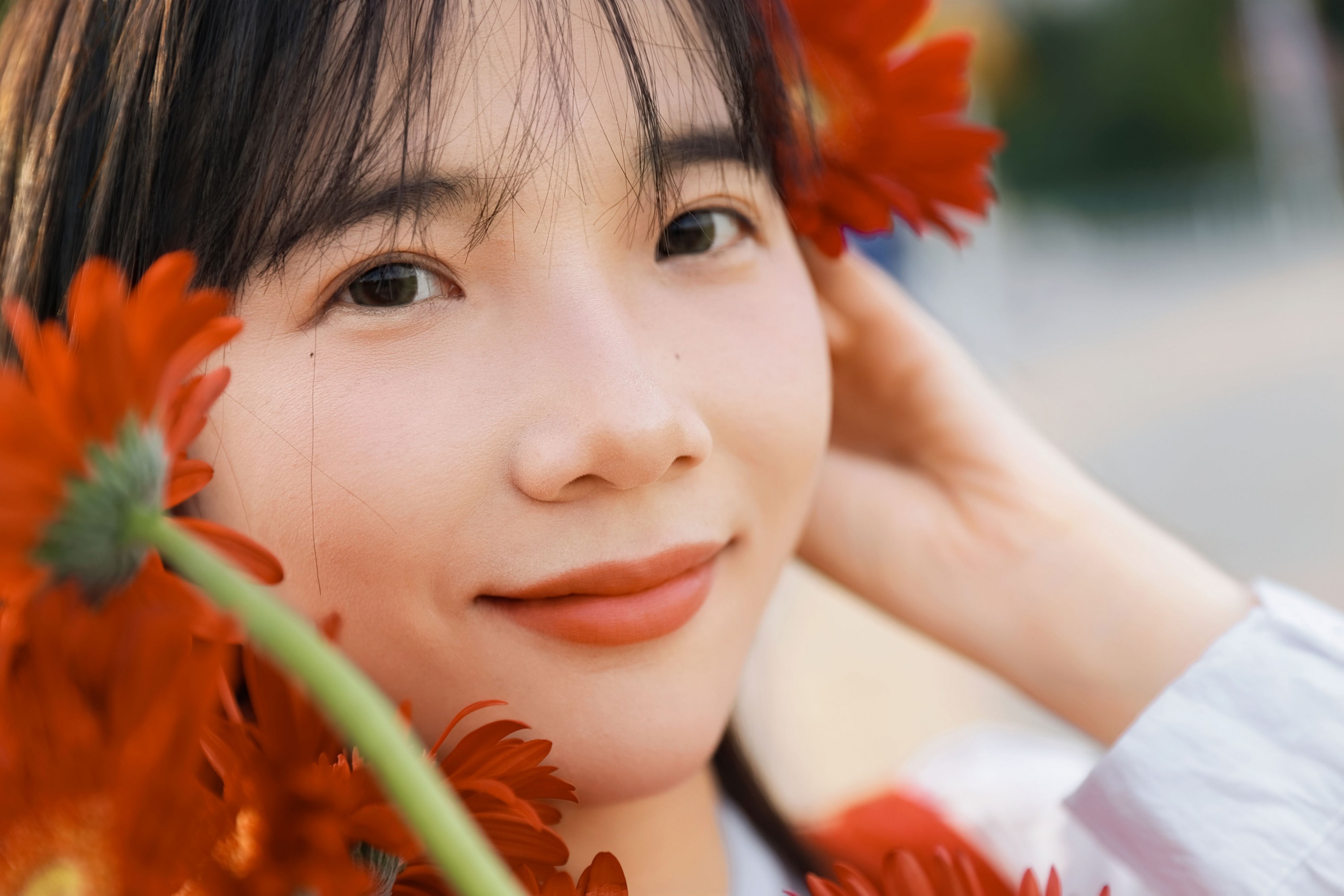 《非洲菊我热烈而平静》[15P]