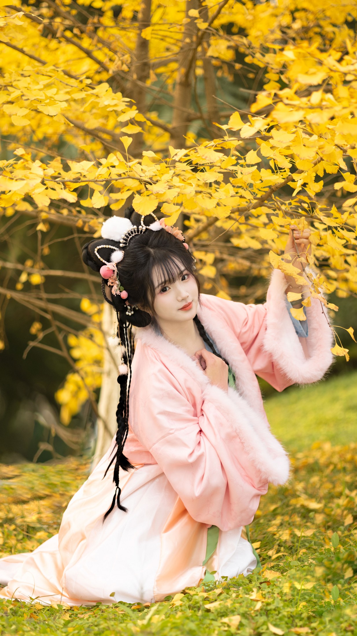 《秋天的黄是银杏叶的黄》[11P]