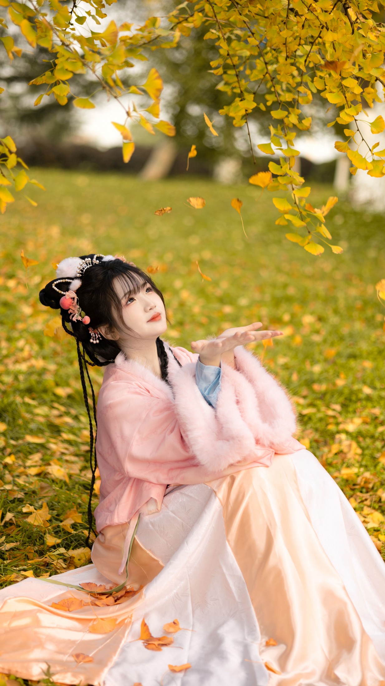 《秋天的黄是银杏叶的黄》[11P]