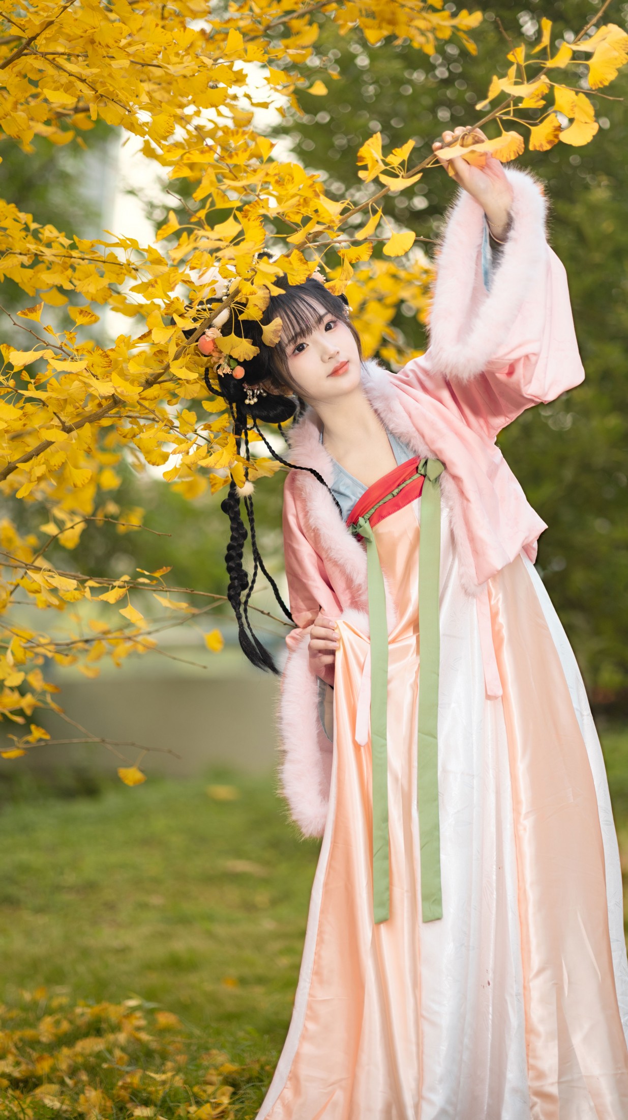 《秋天的黄是银杏叶的黄》[11P]