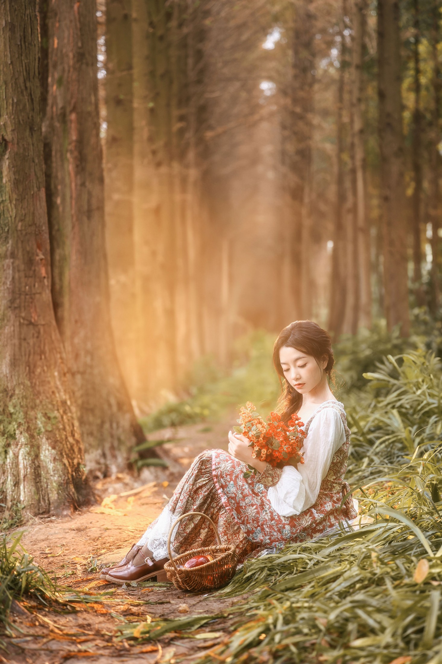 《坠入秋日童话️水杉林里的秋好像油画世界》[30P]