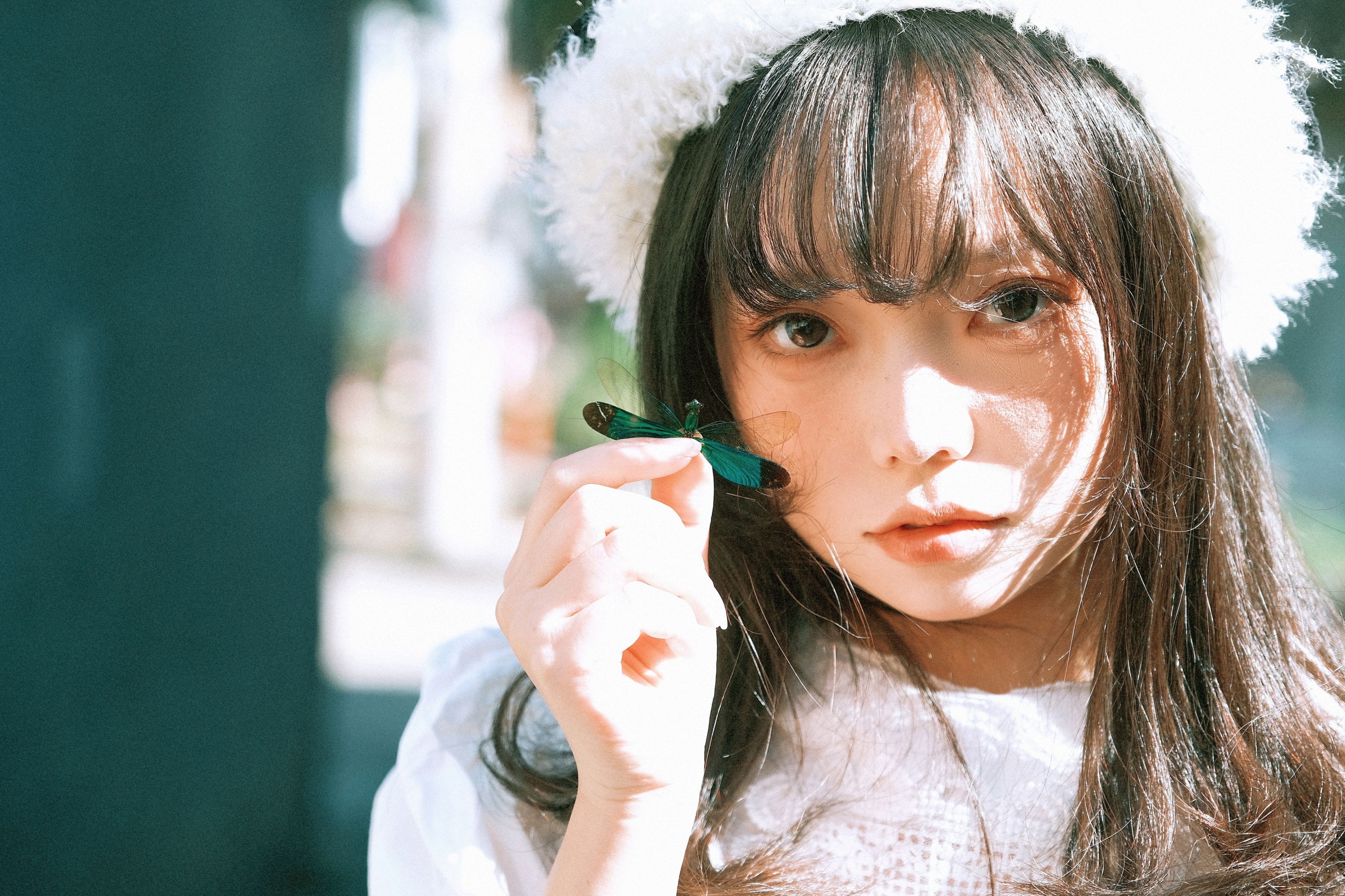 贝贝不睡觉 - 《蜻蜓》[14P]