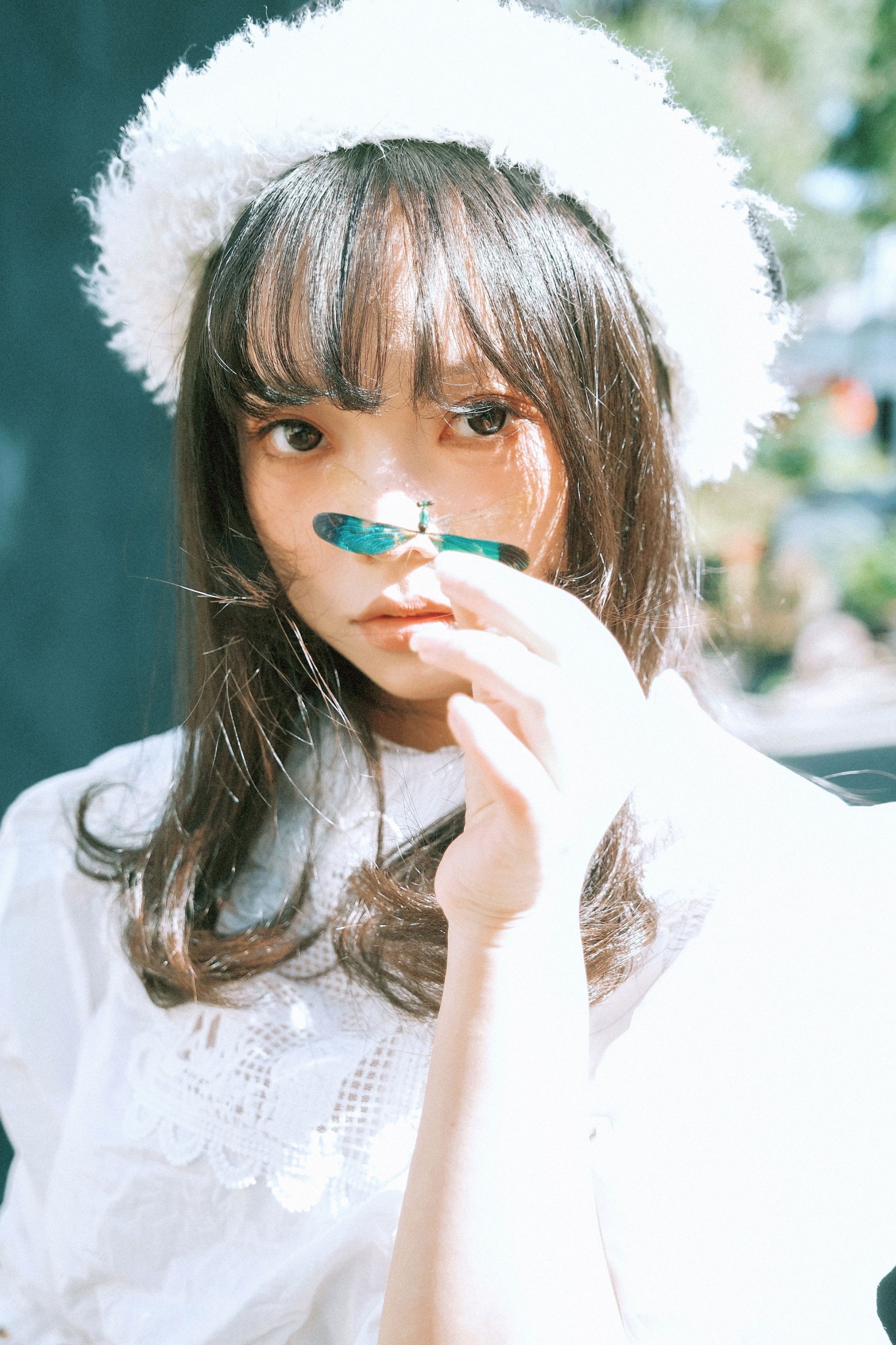 贝贝不睡觉 - 《蜻蜓》[14P]