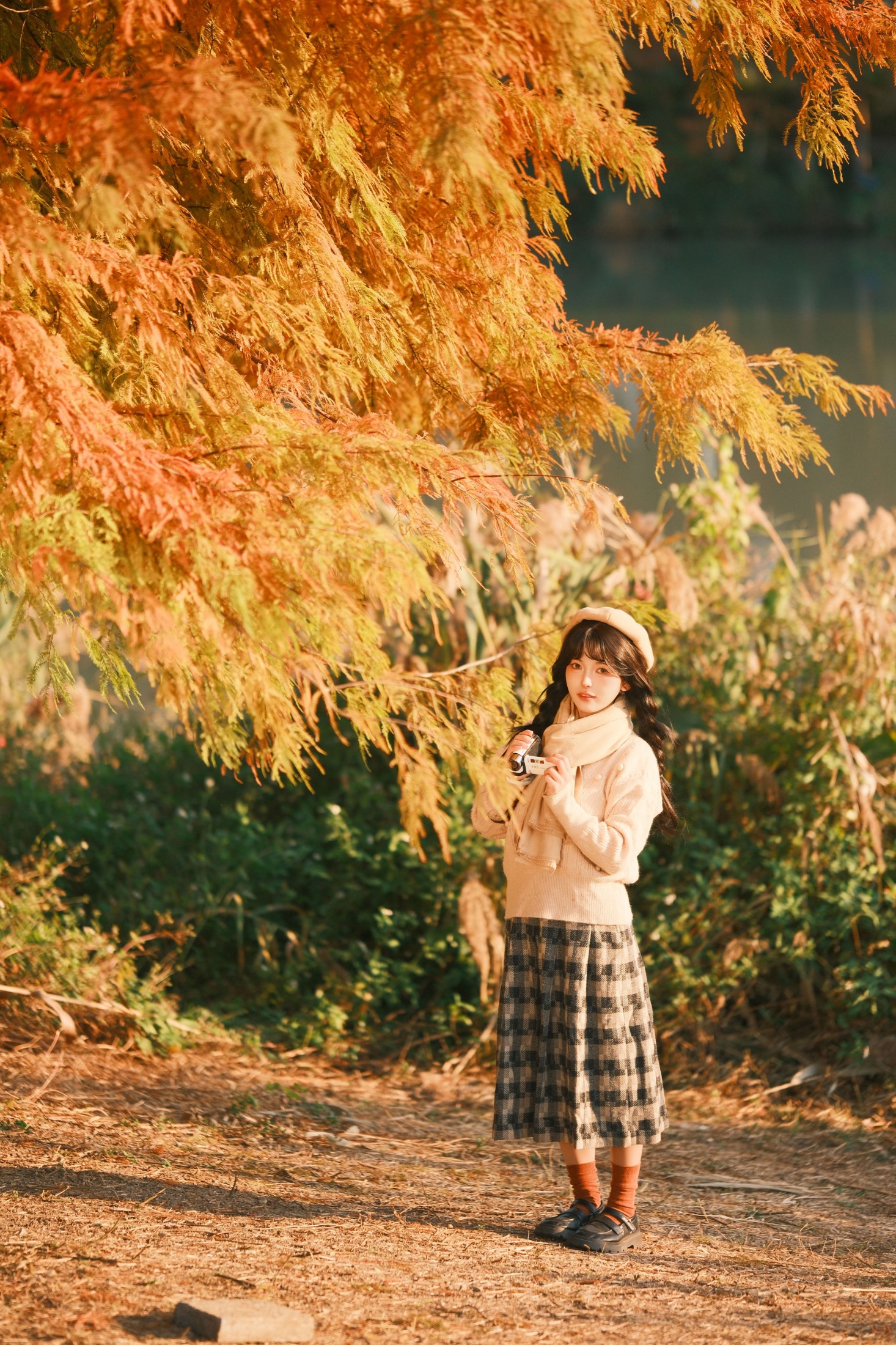 《红杉人像》[9P]