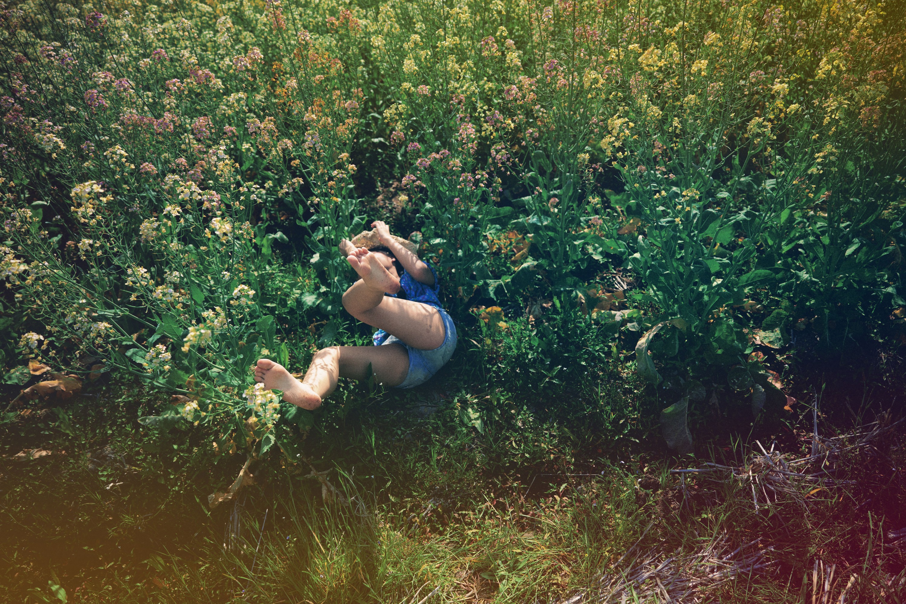 小鹿 - 《油菜花群里跳舞》[13P]