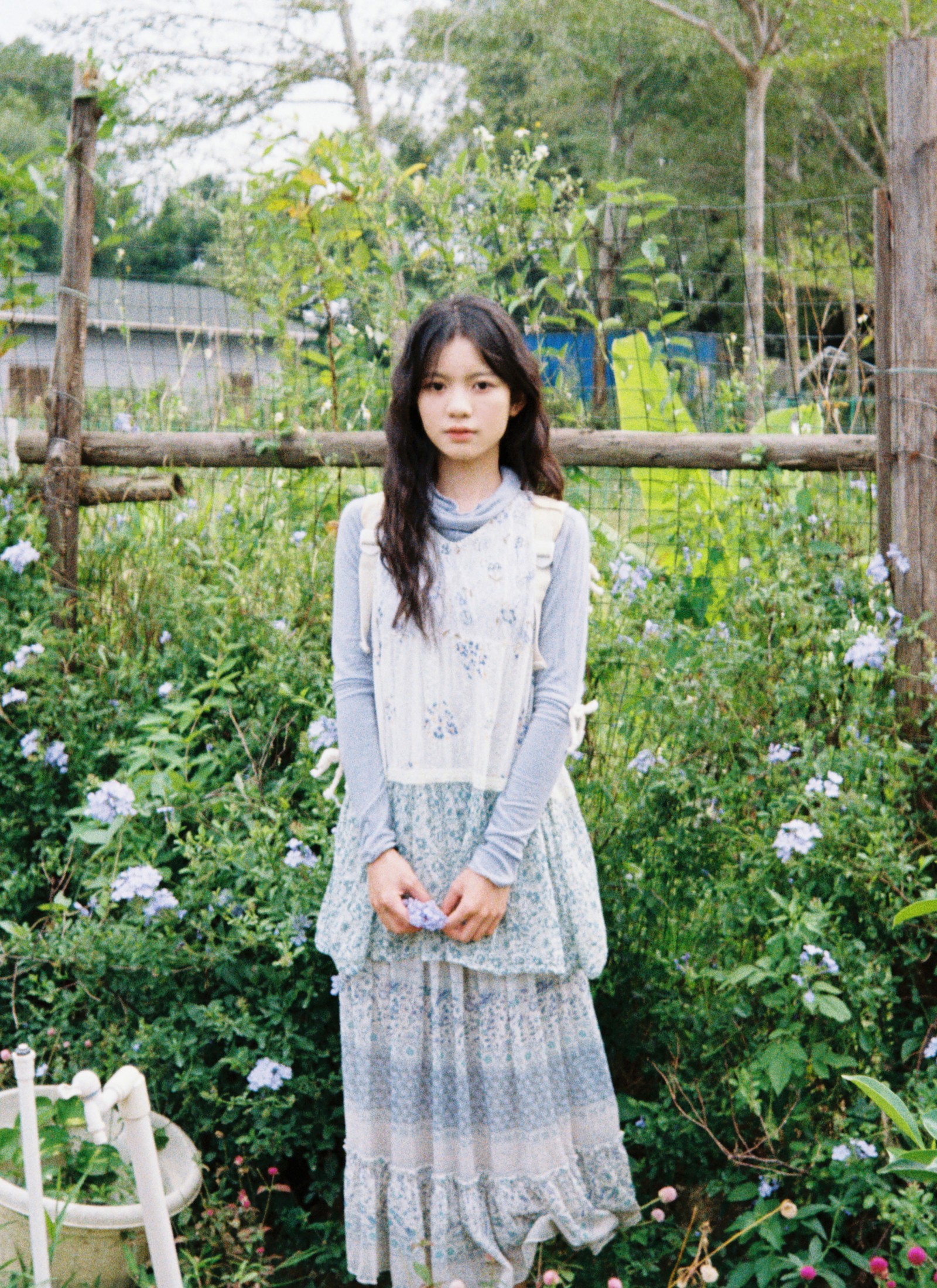 《秋天是倒放的春天》[27P]