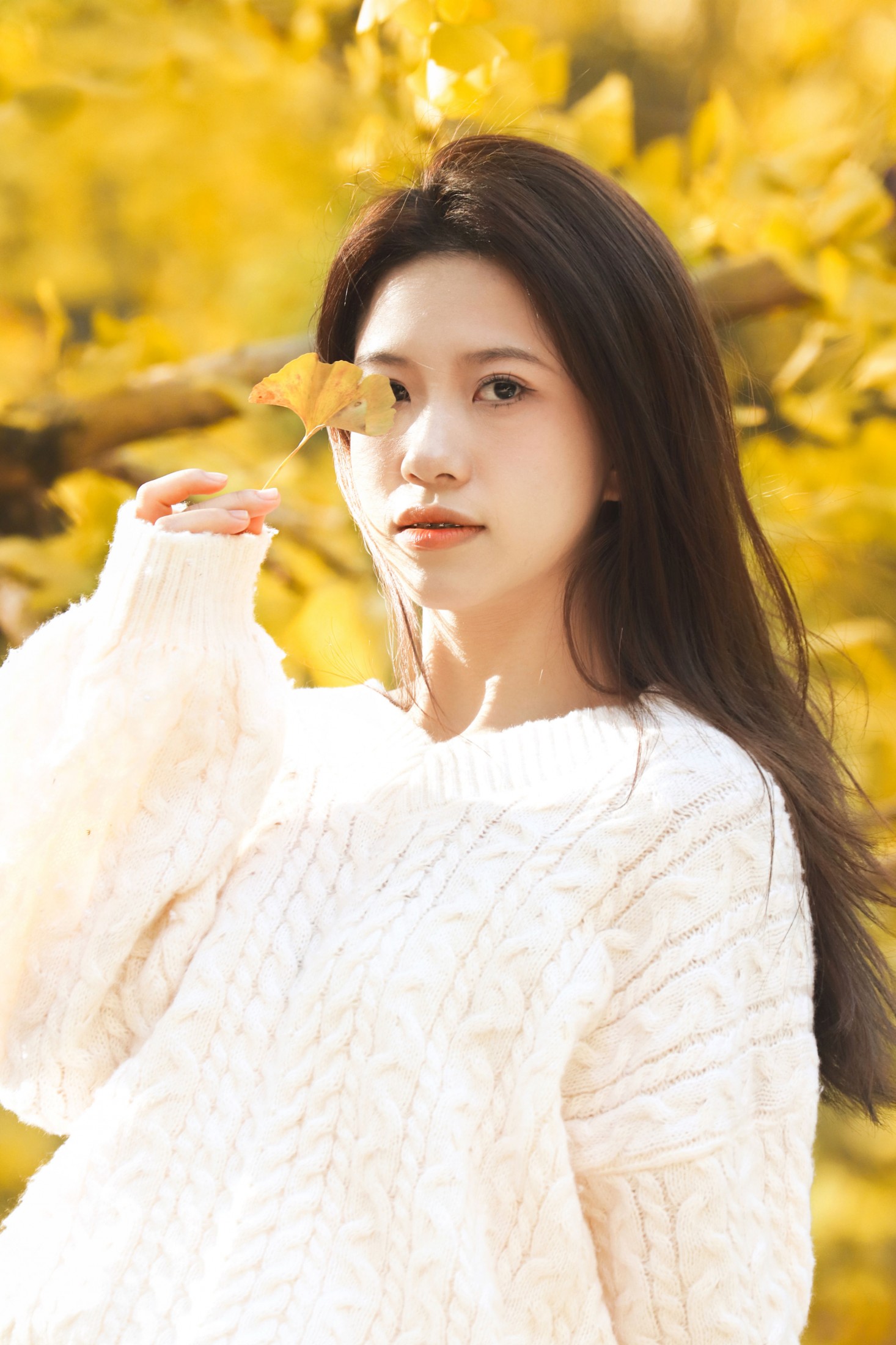 《专属于秋天的银杏》[15P]