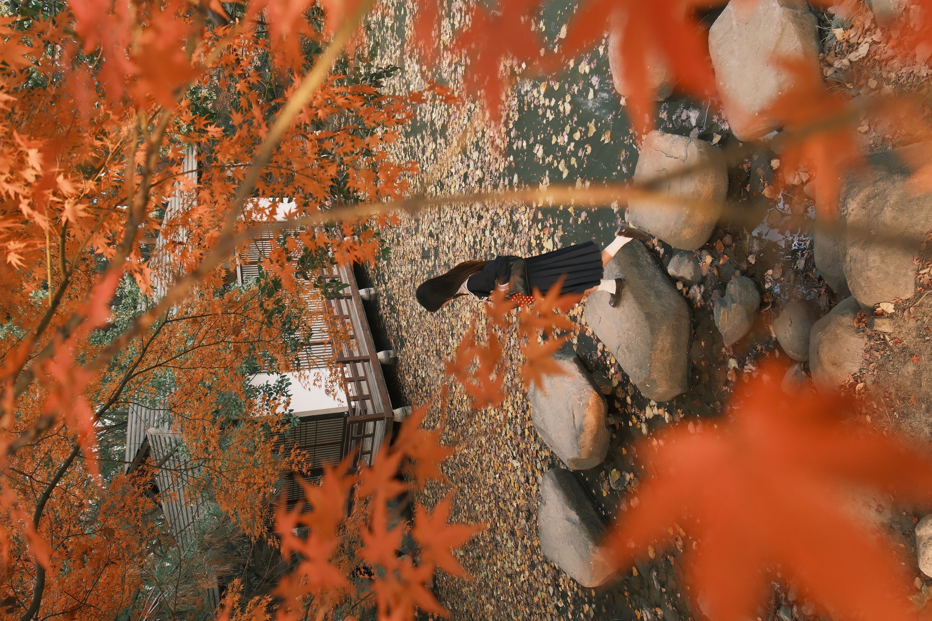 微雨yun - 《当枫叶被夕阳染色》[31P]