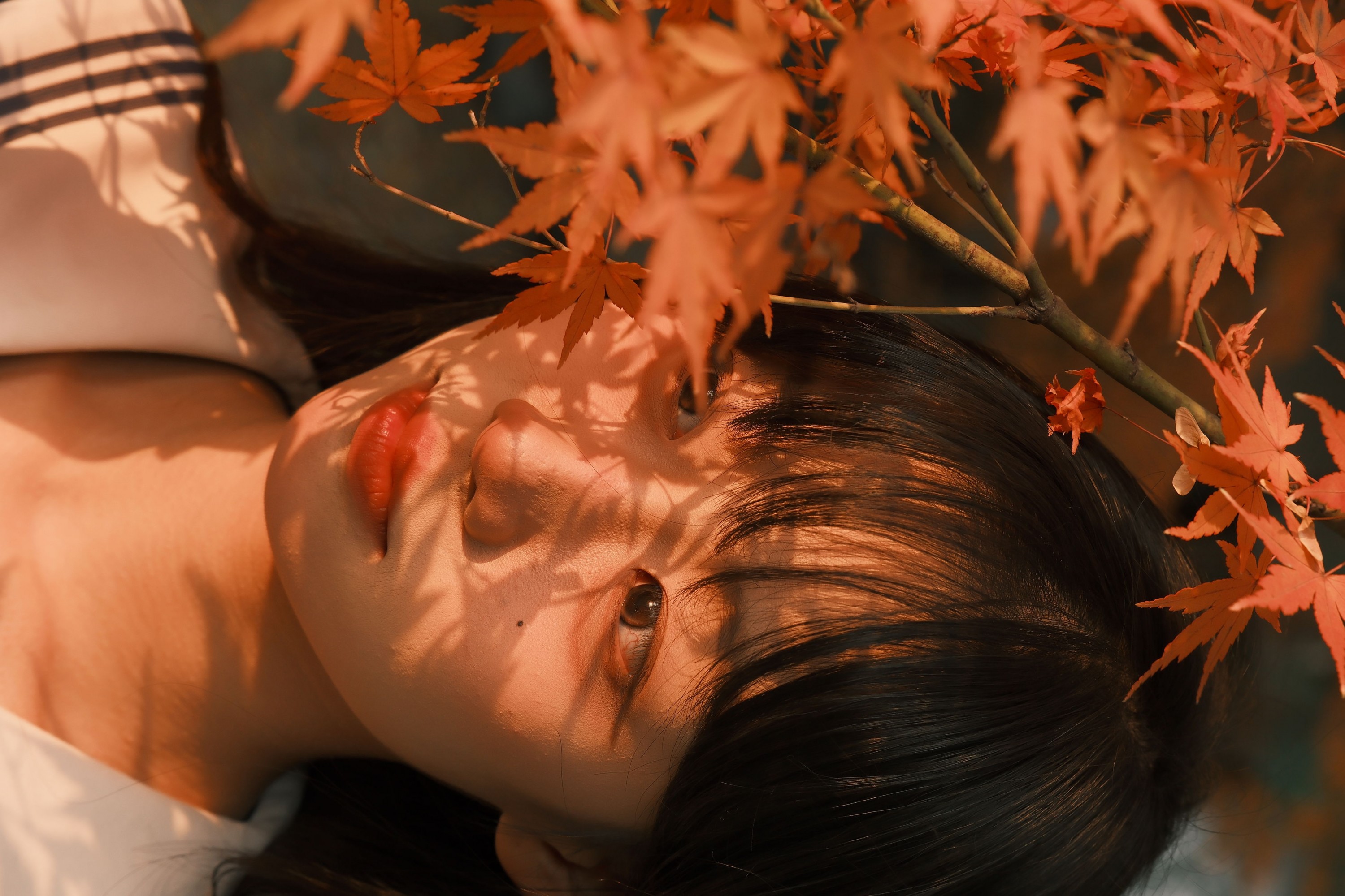 微雨yun - 《当枫叶被夕阳染色》[31P]