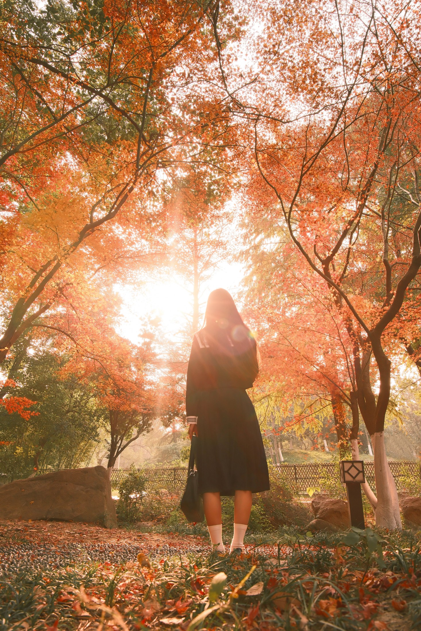 微雨yun - 《当枫叶被夕阳染色》[31P]