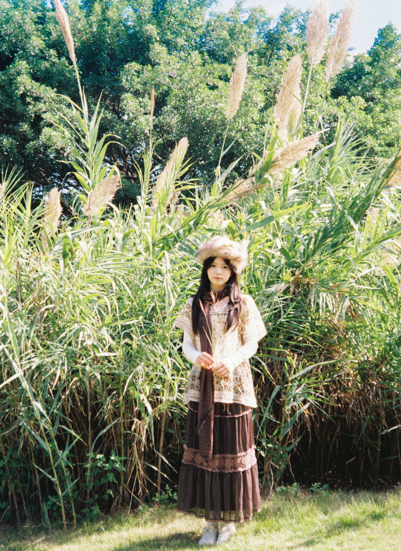 《树是秋日的脉搏》[31P]